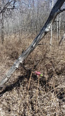 20160430_134123.jpg