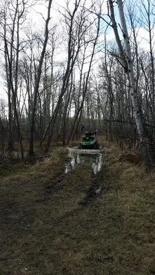20160501_170649.jpg