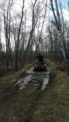 20160501_170704.jpg