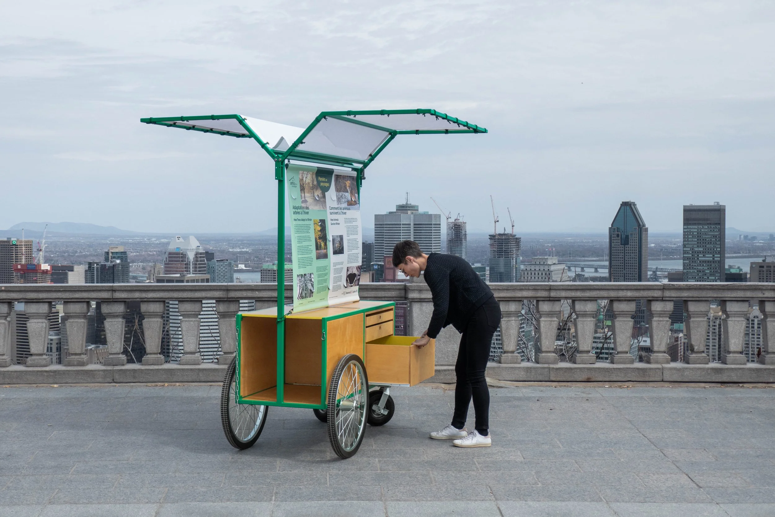 Faire découvrir le patrimoine naturel et culturel du mont-Royal