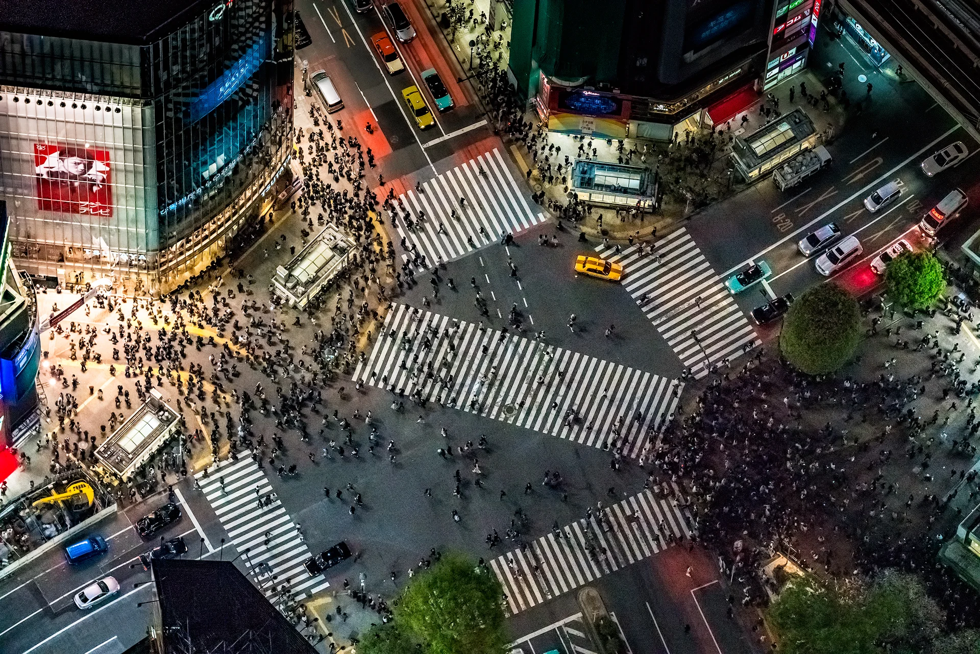 Shibuya Crossing