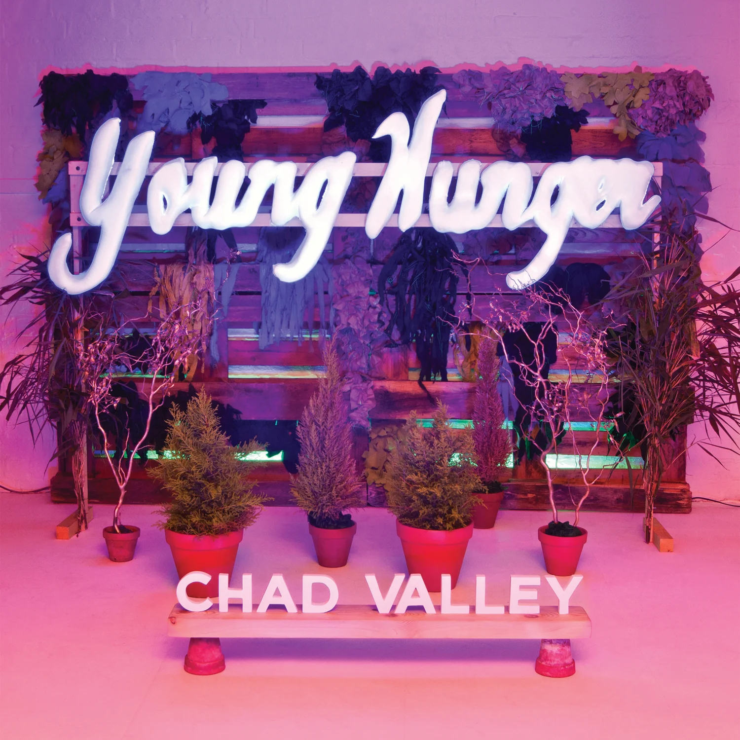 Young Hunger (2012)  UK:  Vinyl &nbsp;/  CD   US: SOLD OUT