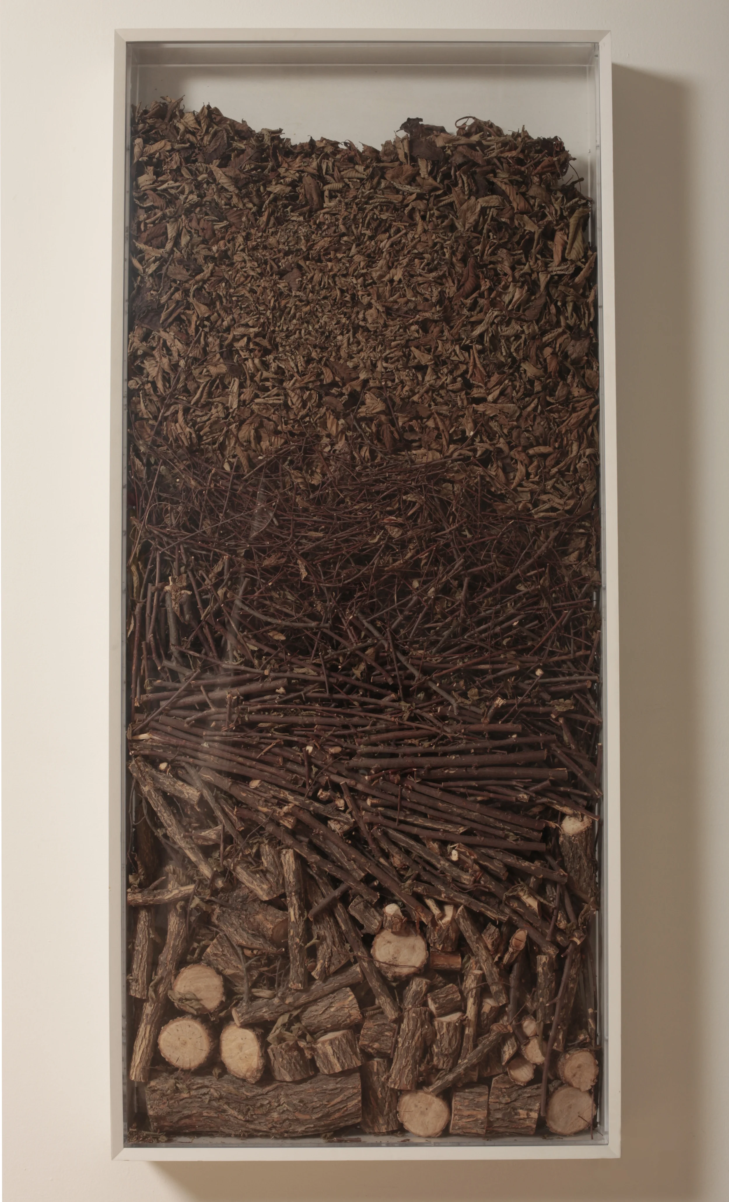 Public Property: Elm Tree , 2009 Elm tree, wood, Plexiglass, 72 1/2" x 32" x 6" | 184.2 x 81.3 x 15.2 cm