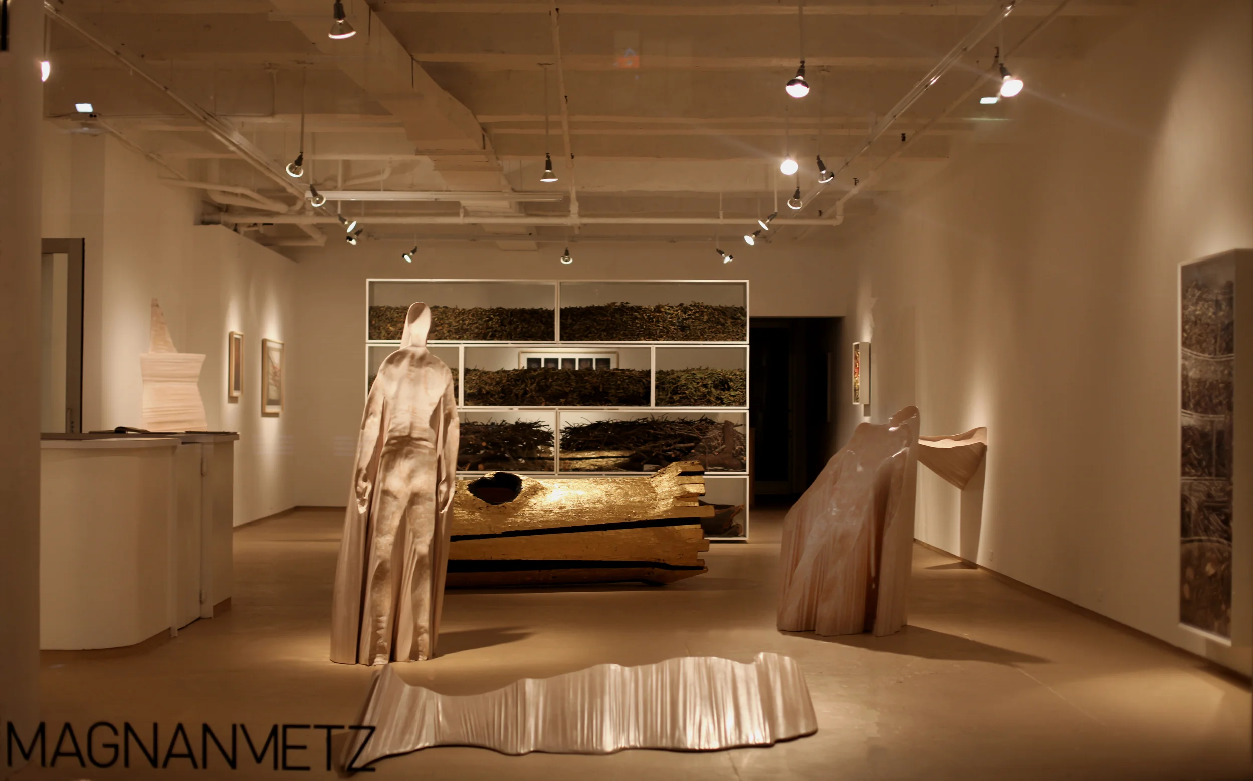 The Sun Stands Still : Installation View Photo Credit: Daniel Cornell