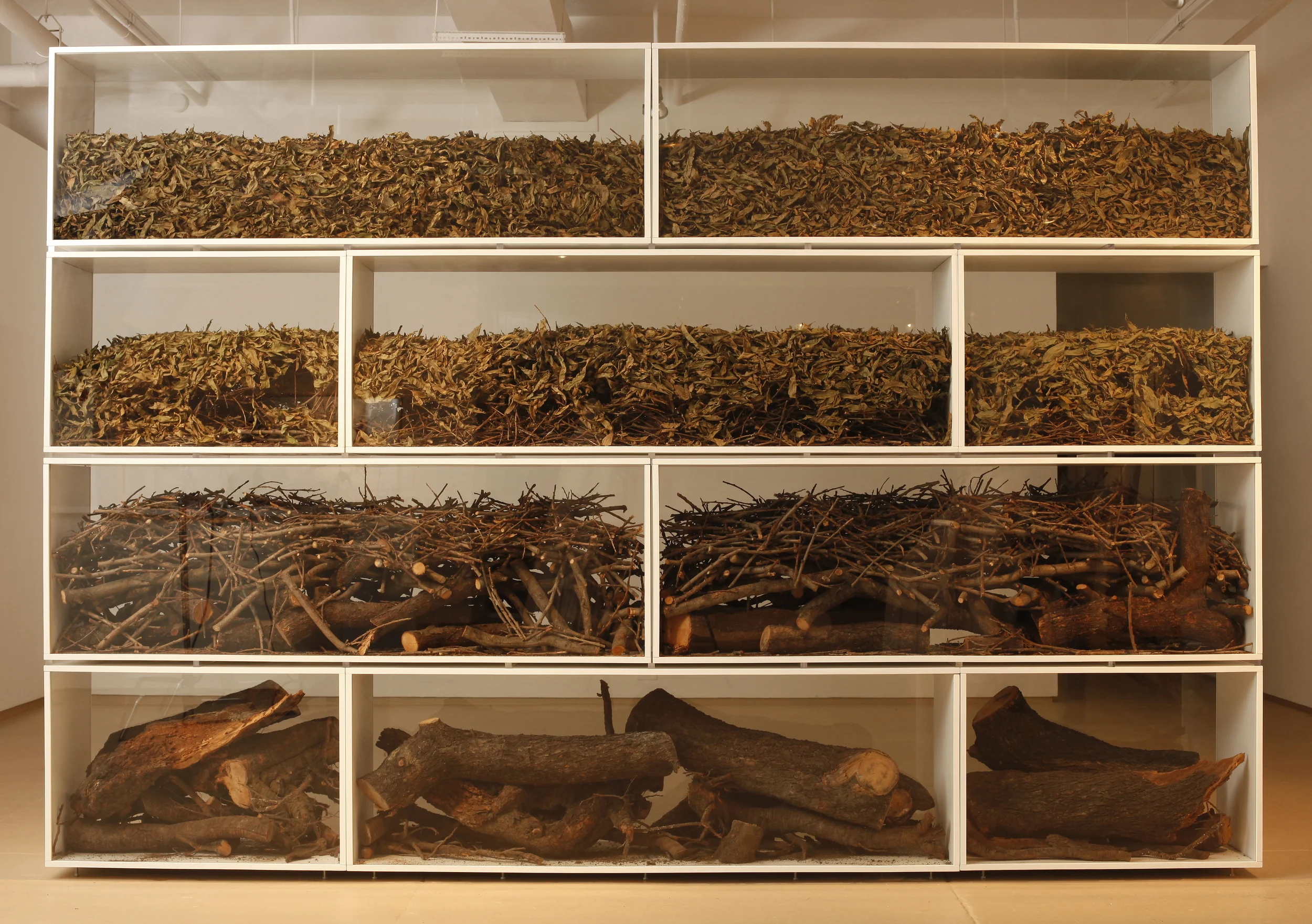 Goods For Me, 2011 Tree, plywood, glass, 96 x 144 x 18 " / 243 x 365 x 45 cm