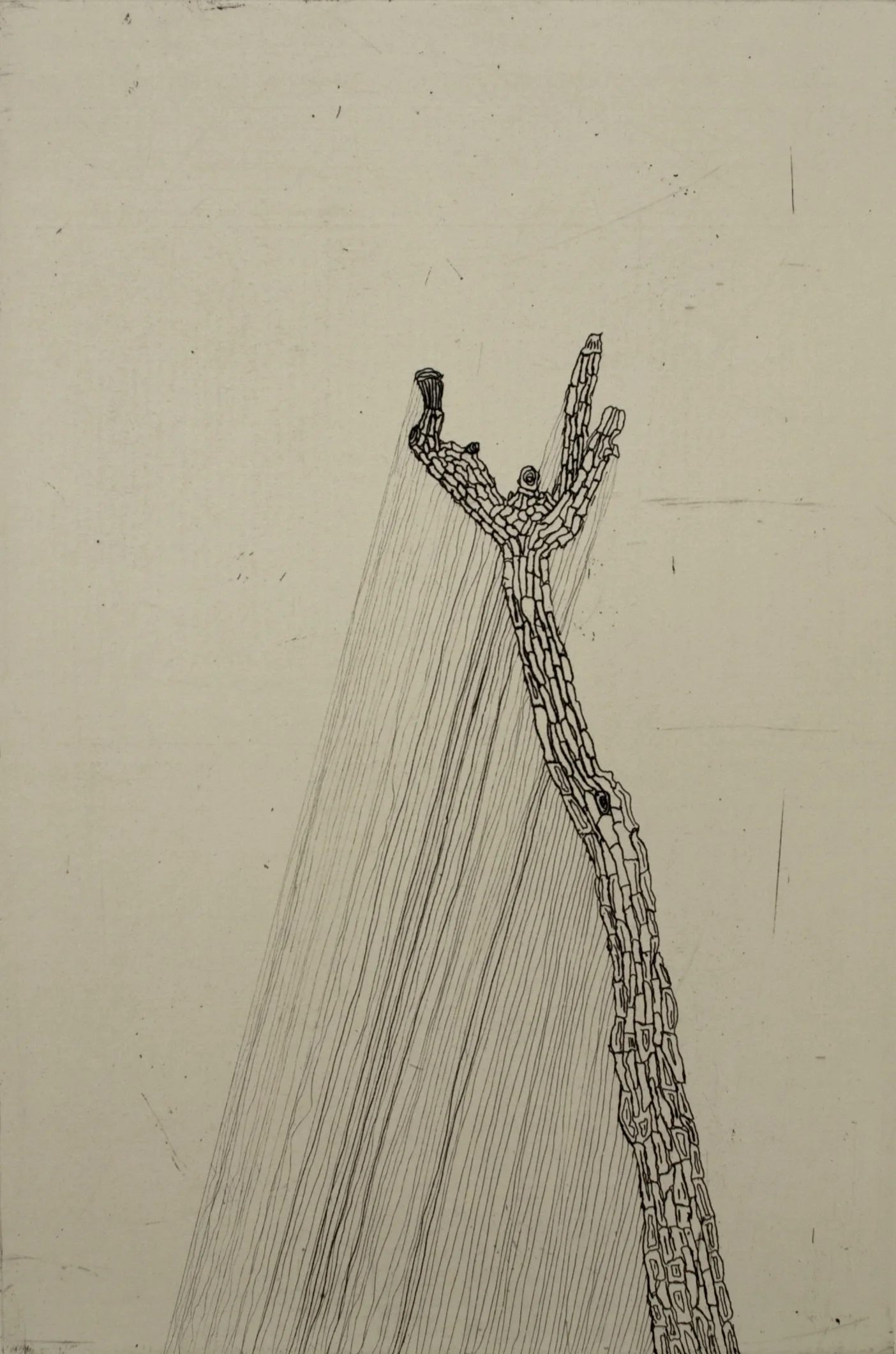 Holding onto shadows , 2012, Hardground etching, Paper Size: 48 X 36 cm, Edition: 12