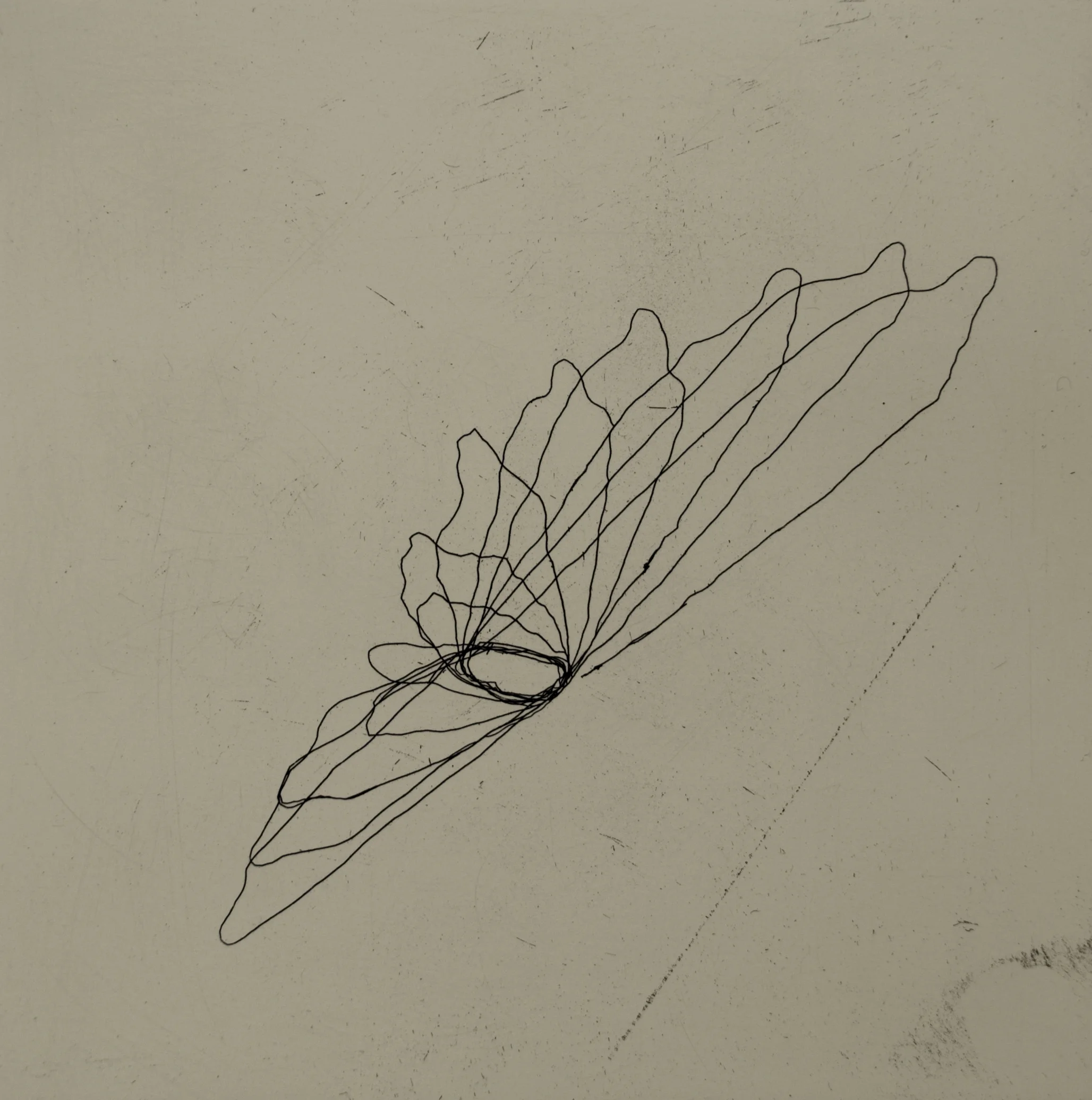 A Day in the Sun, 2012 Hardground Etching, Paper Size: 32 X 32 cm, Edition Size: 12