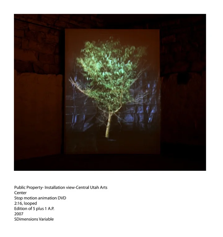 Public Property_Installation view.jpg