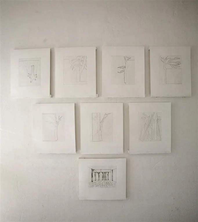 Sean Slemon - Solid Light03 (Large).JPG