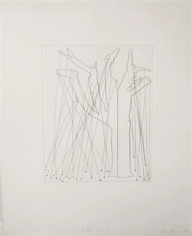 Sean Slemon - Solid Light07 (Large).JPG