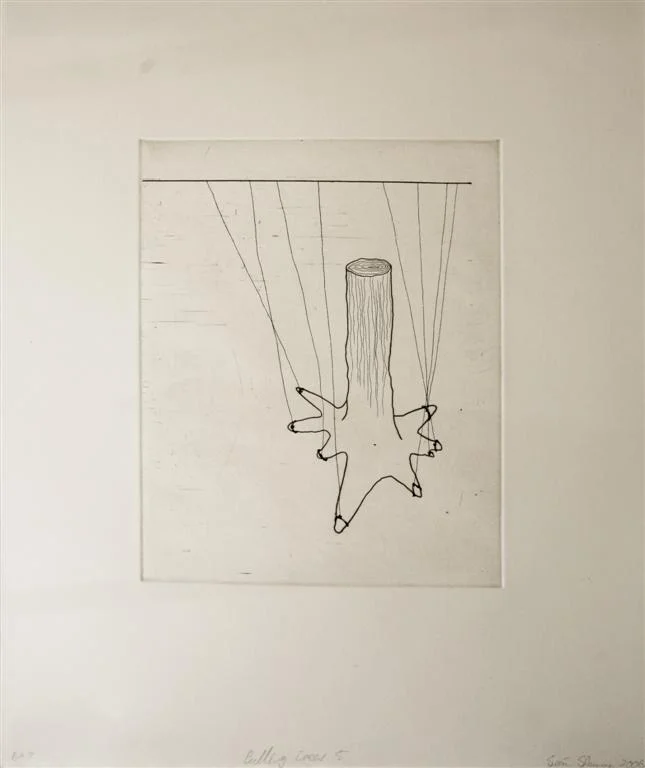 Sean Slemon - Solid Light08 (Large).JPG