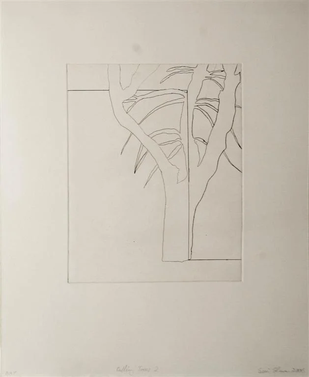 Sean Slemon - Solid Light09 (Large).JPG