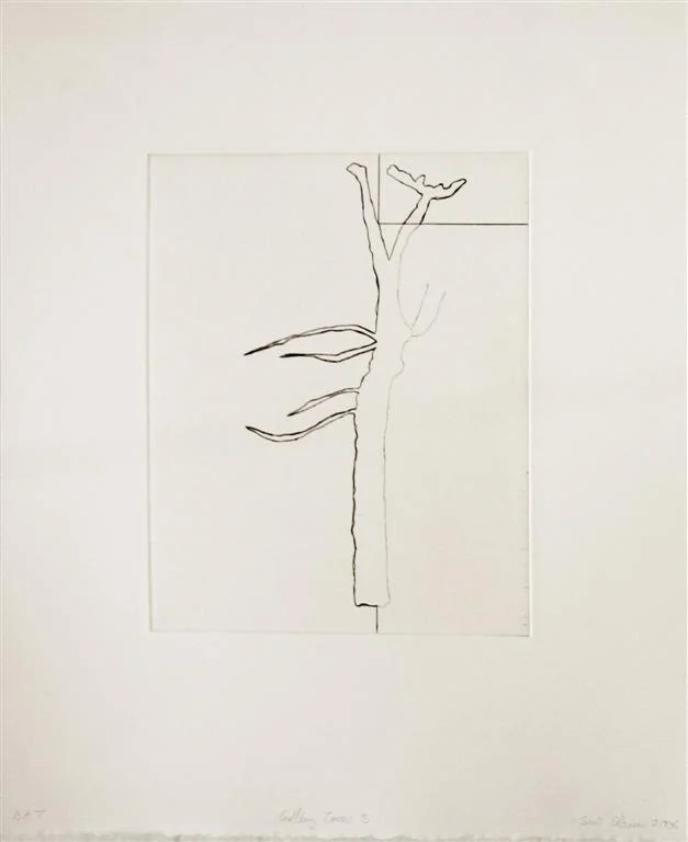 Sean Slemon - Solid Light10 (Large).JPG