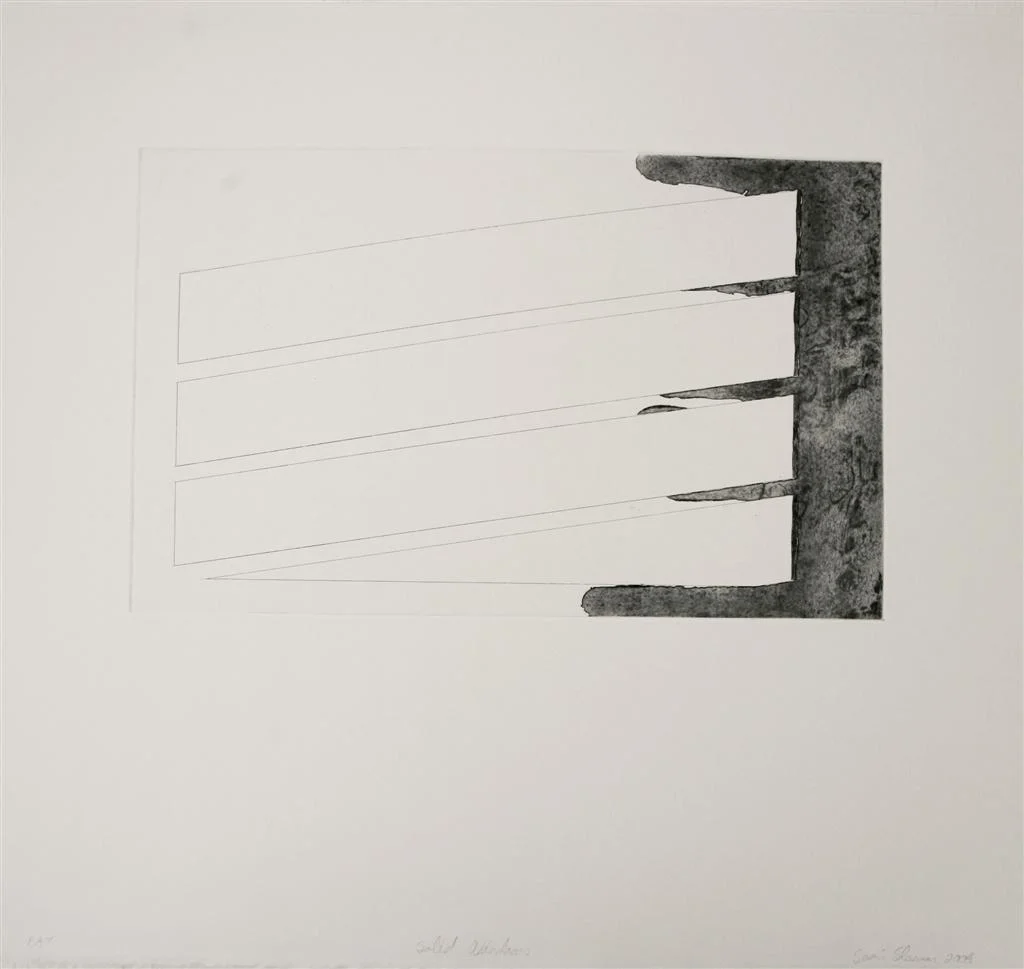Sean Slemon - Solid Light13 (Large).JPG