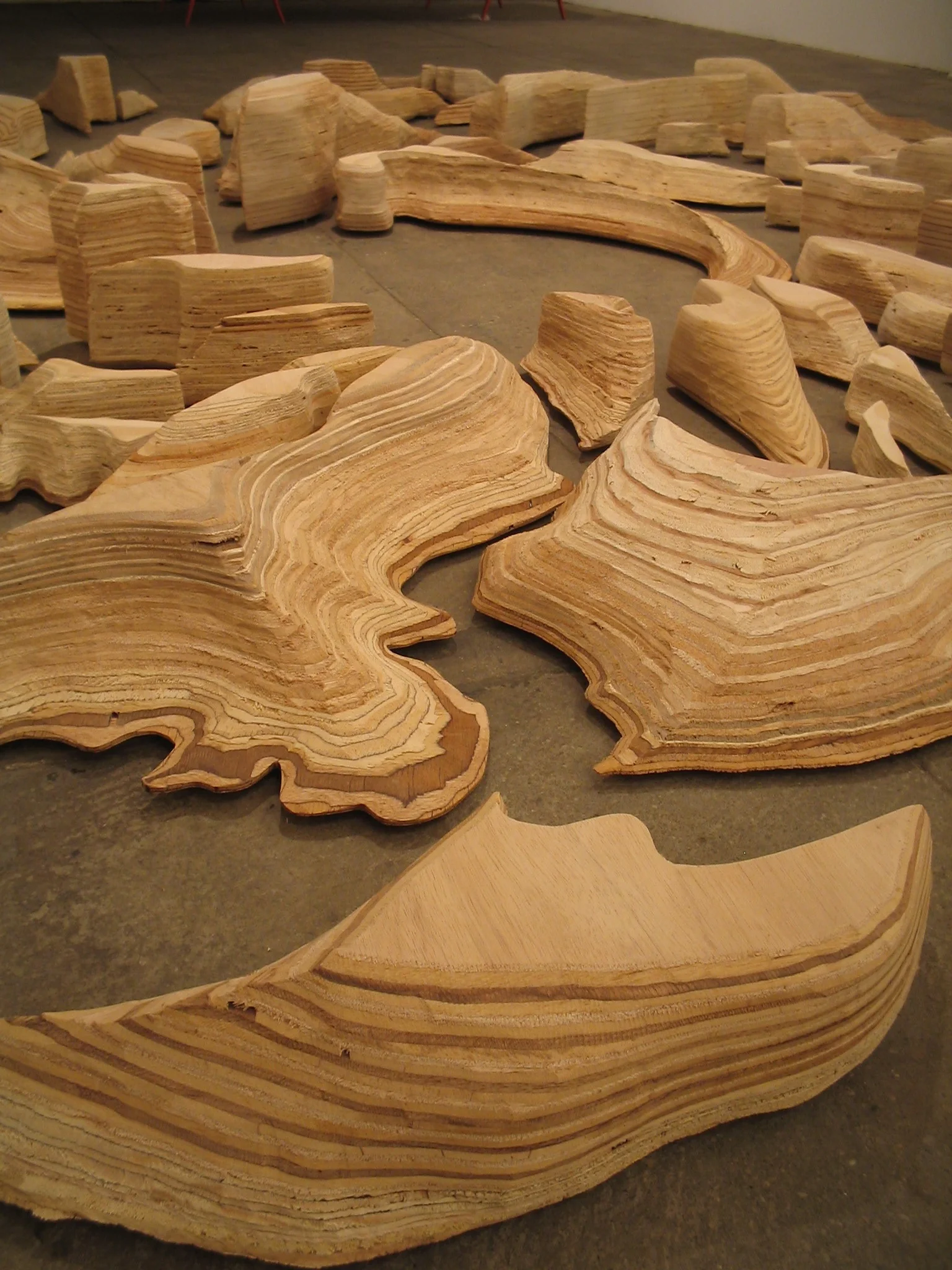 Hurricane Katrina detail 2.JPG