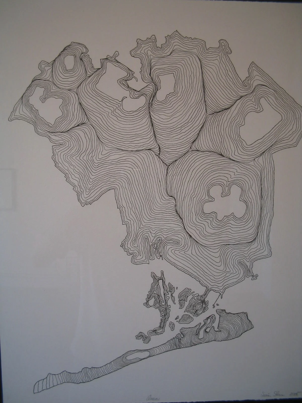 Brooklyn remapped.JPG