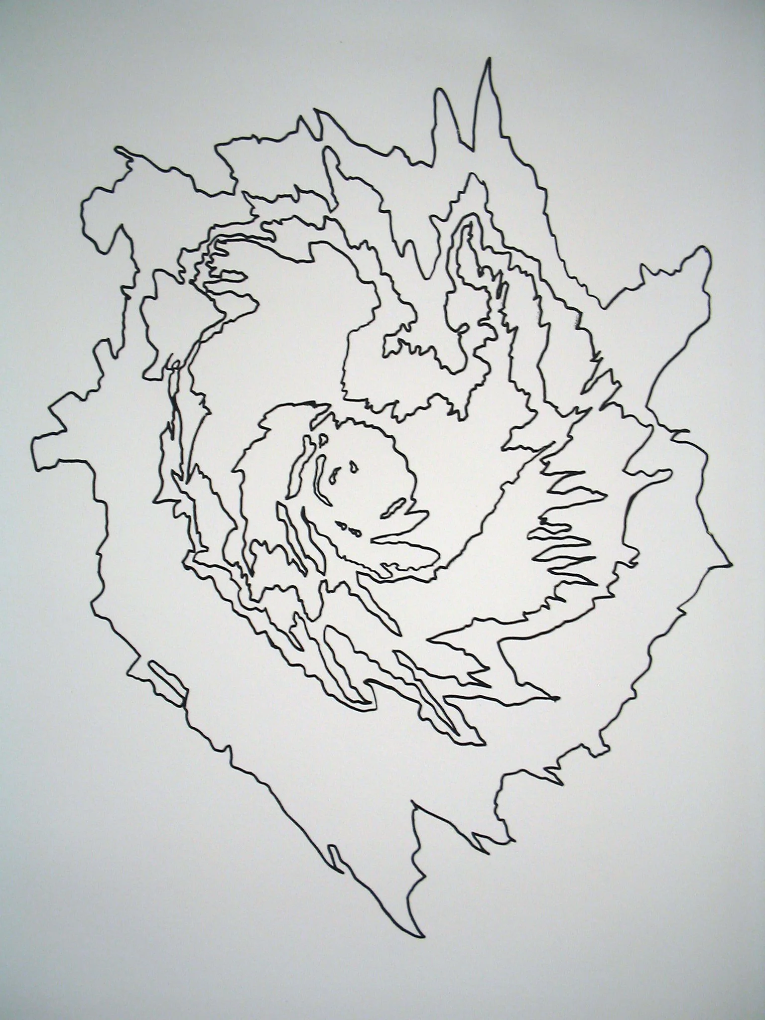 Katrina Litho 14:26Inches.JPG