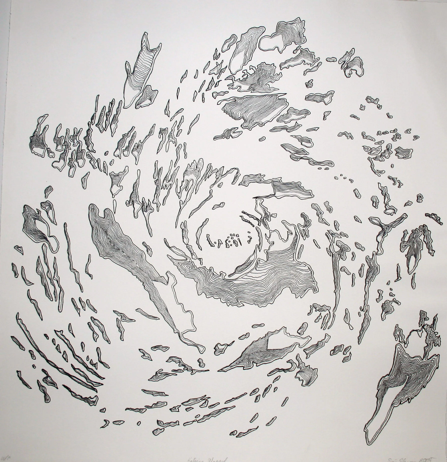 Katrina Mapped30-24inches.jpg