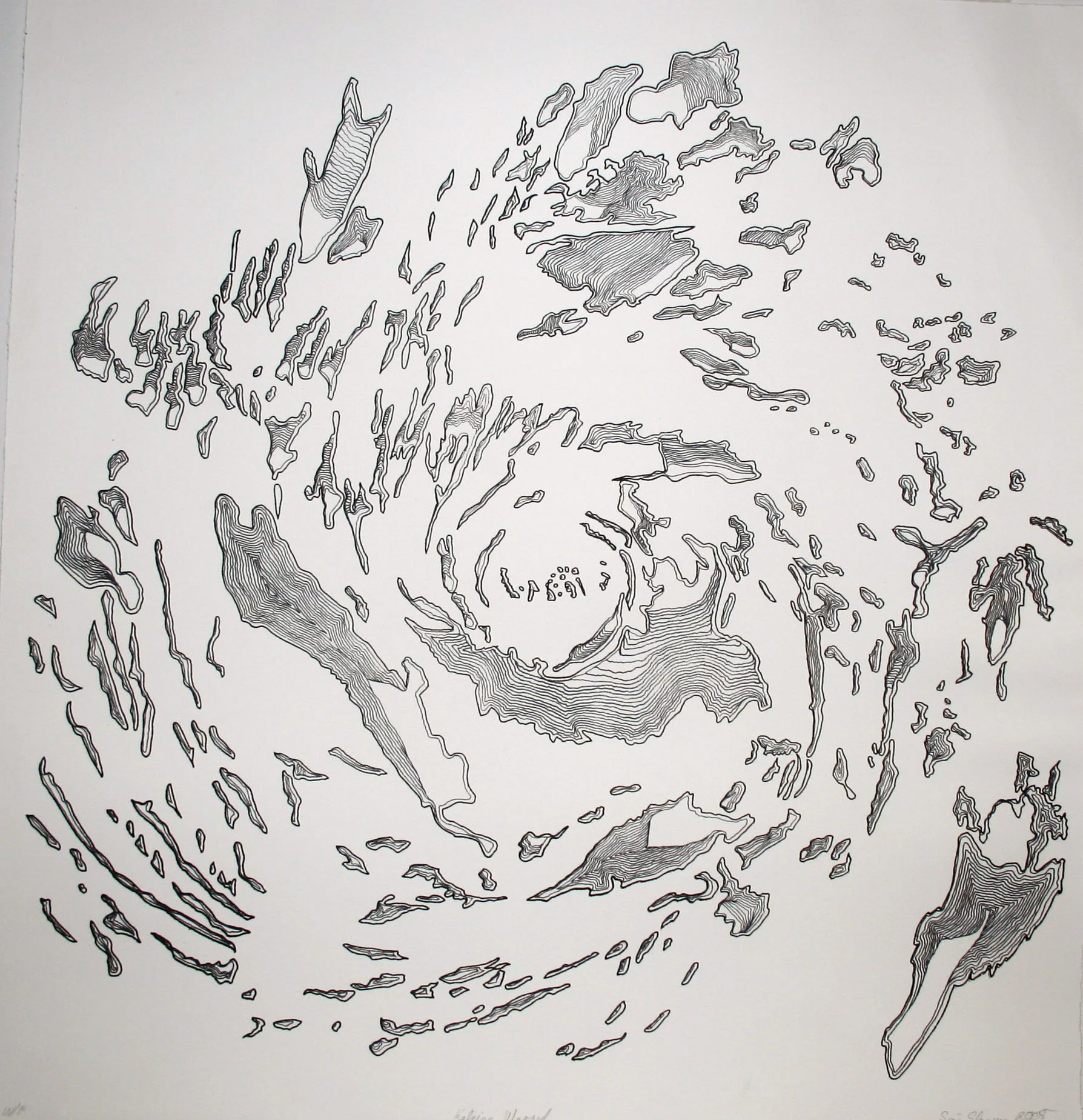 Katrina Litho large.jpg