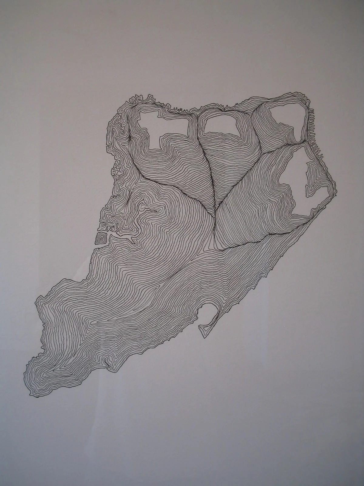 Staten Island remapped.JPG