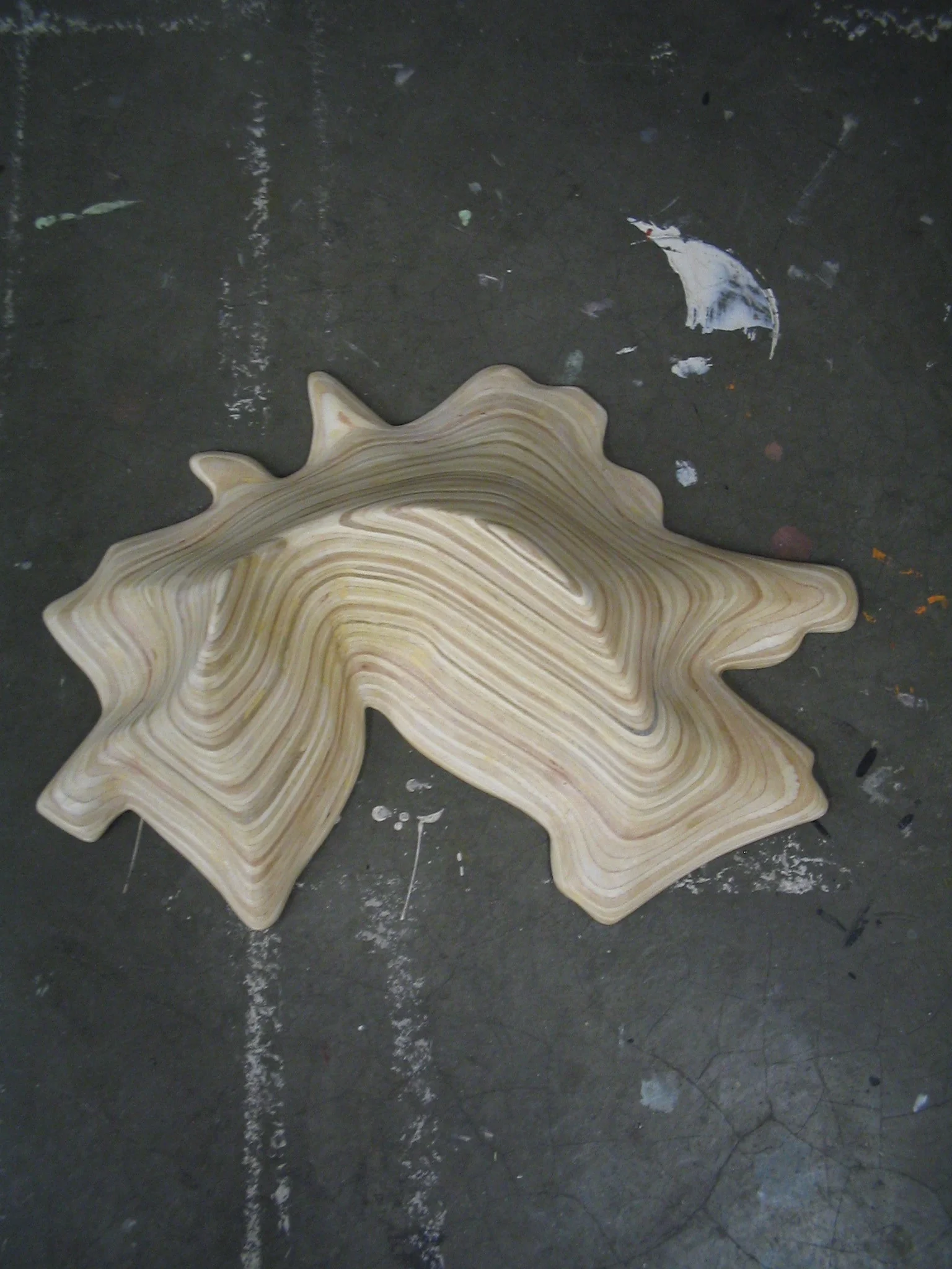 1-11 studio view 3.JPG