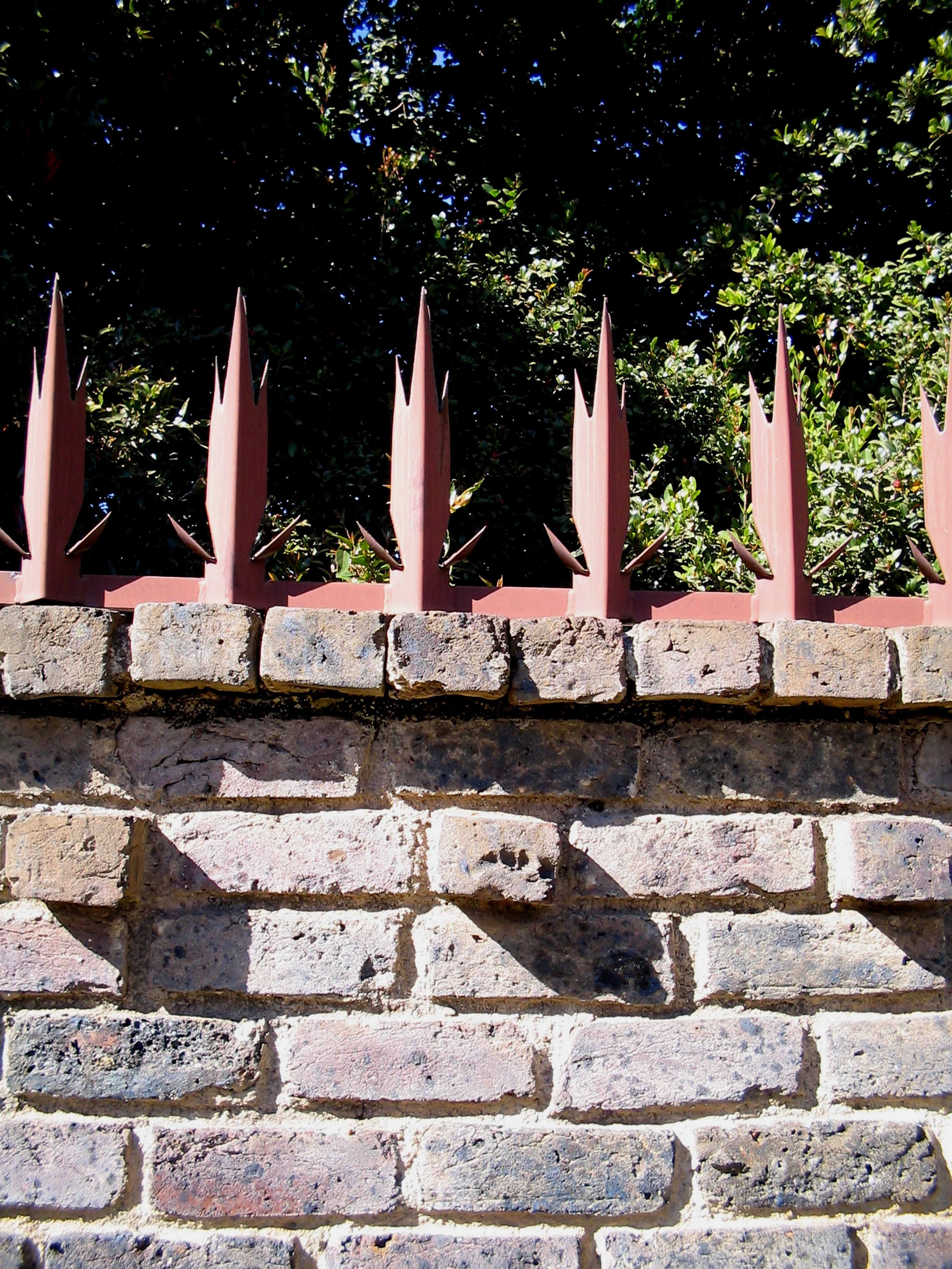 Mimosa road, blackheath, Region 4 copy.jpg