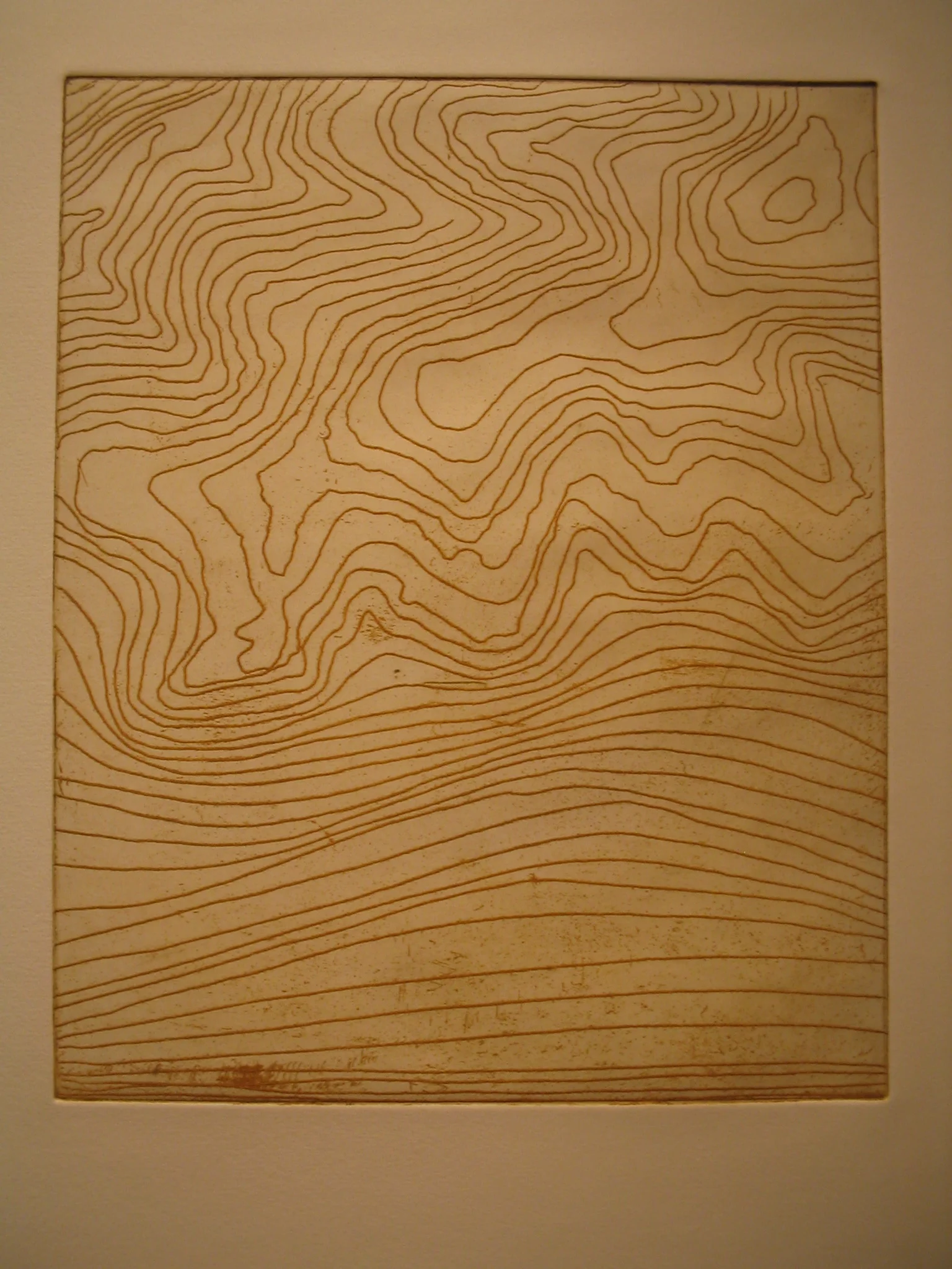 Region 7-Alexandra.JPG