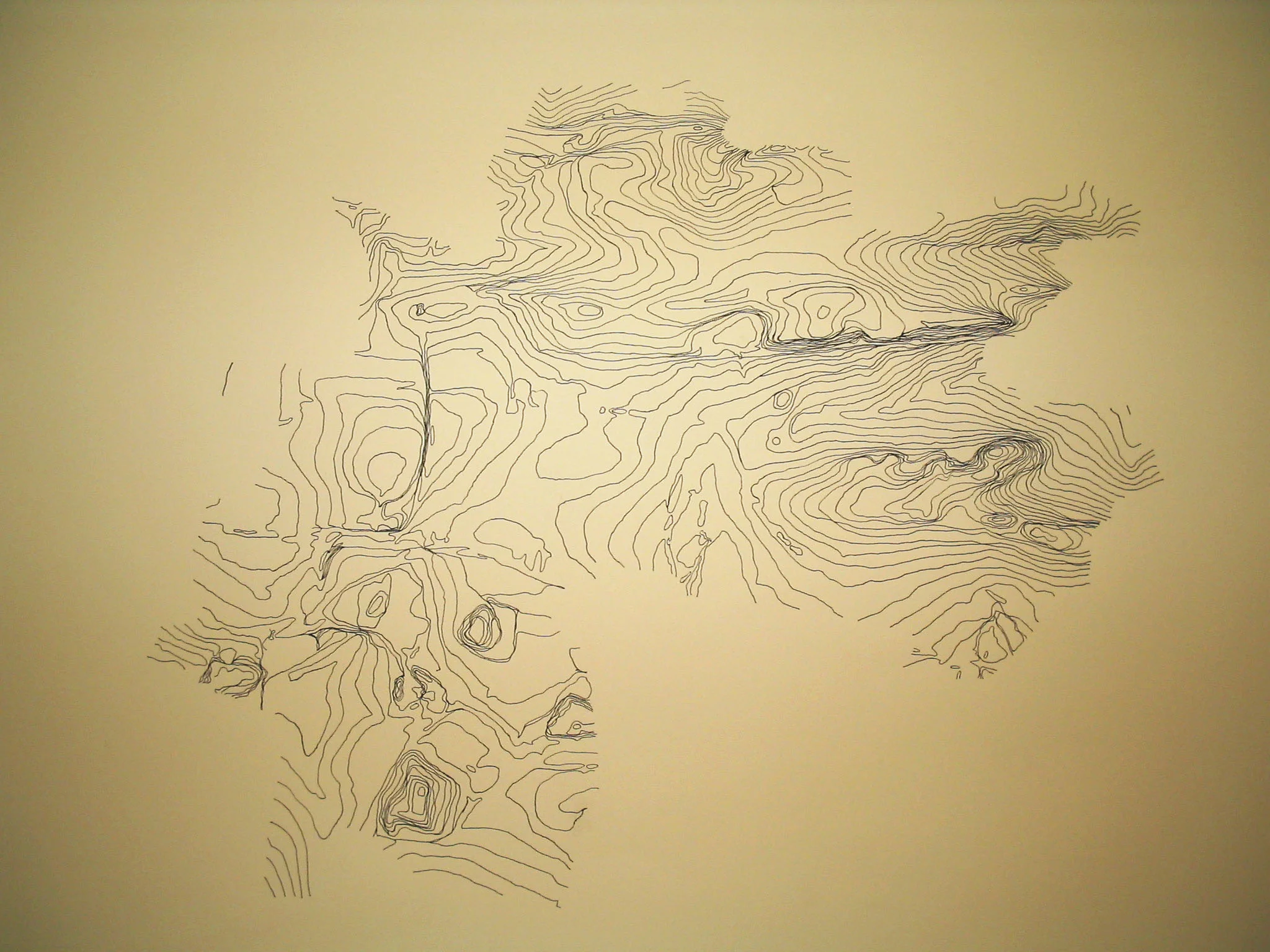 Joburg preview-ink drawing copy.jpg