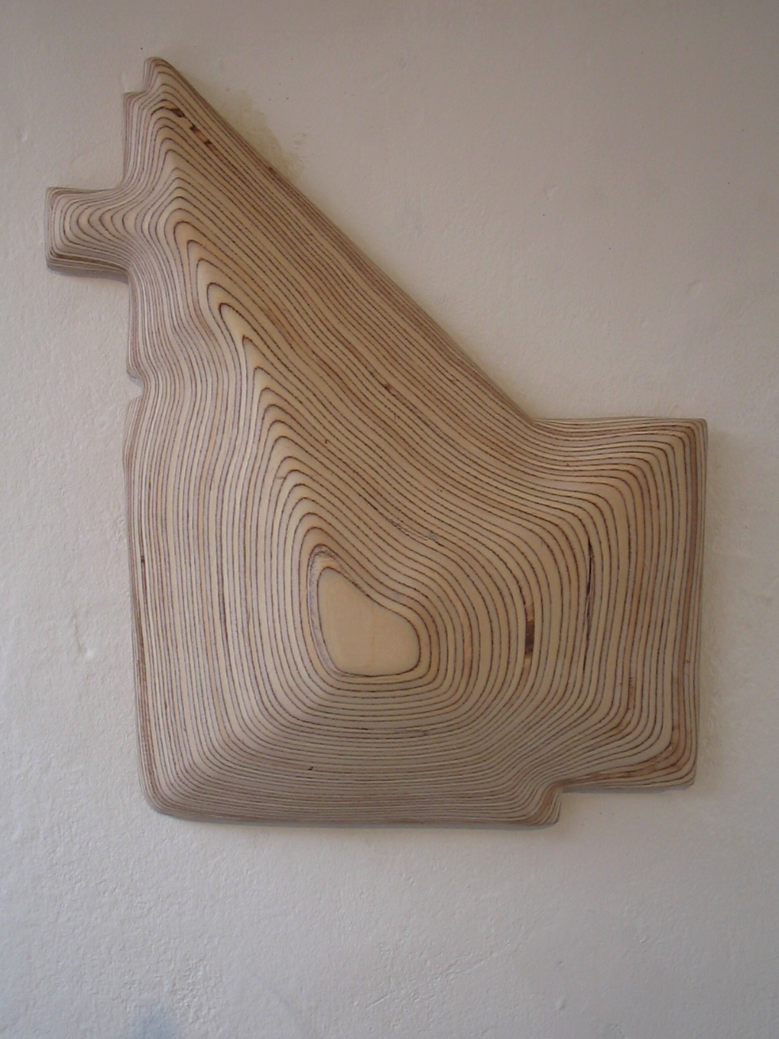 Forty Nine Layers-Birch Ply.jpg