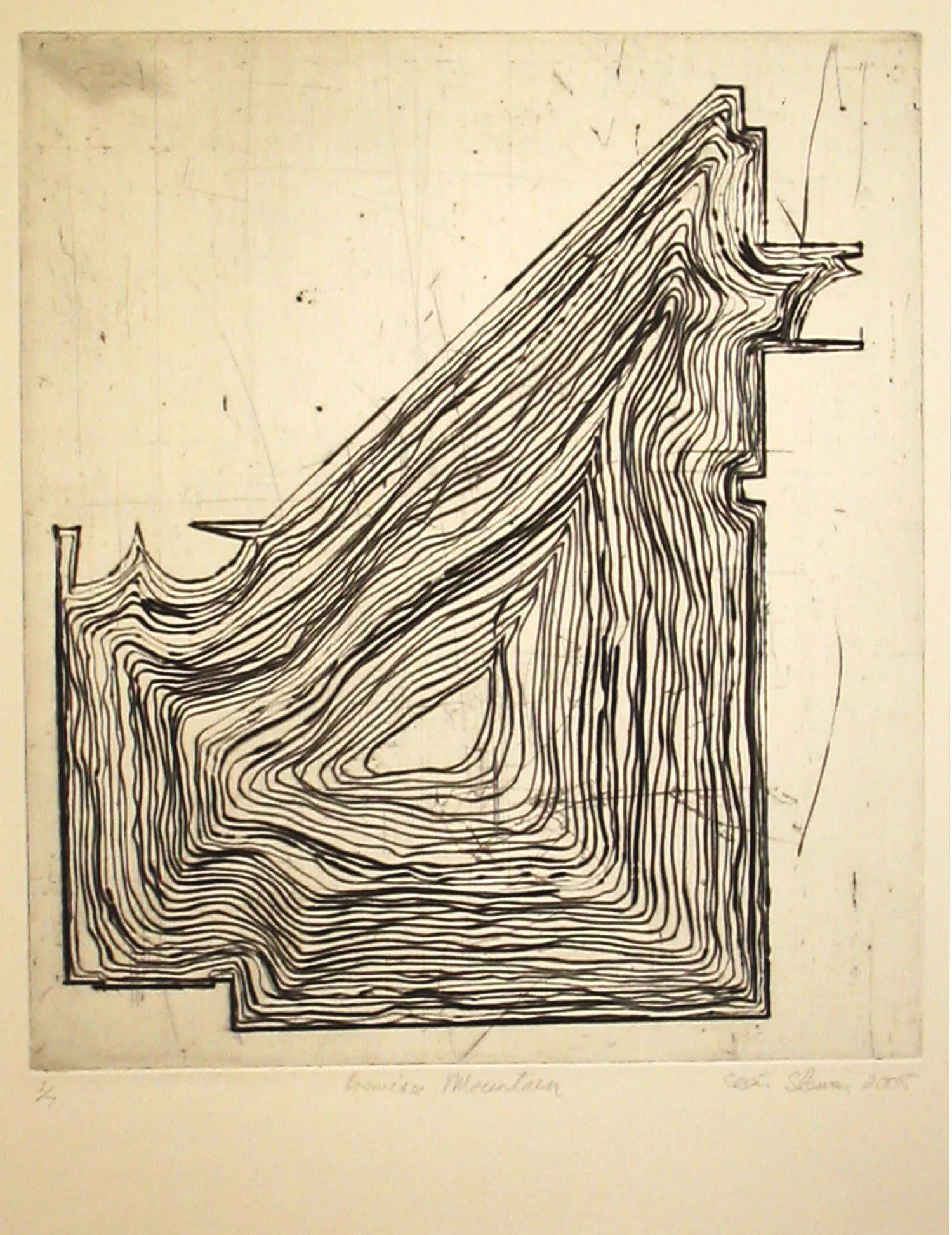 The premises mounatian-drypoint etching copy.jpg