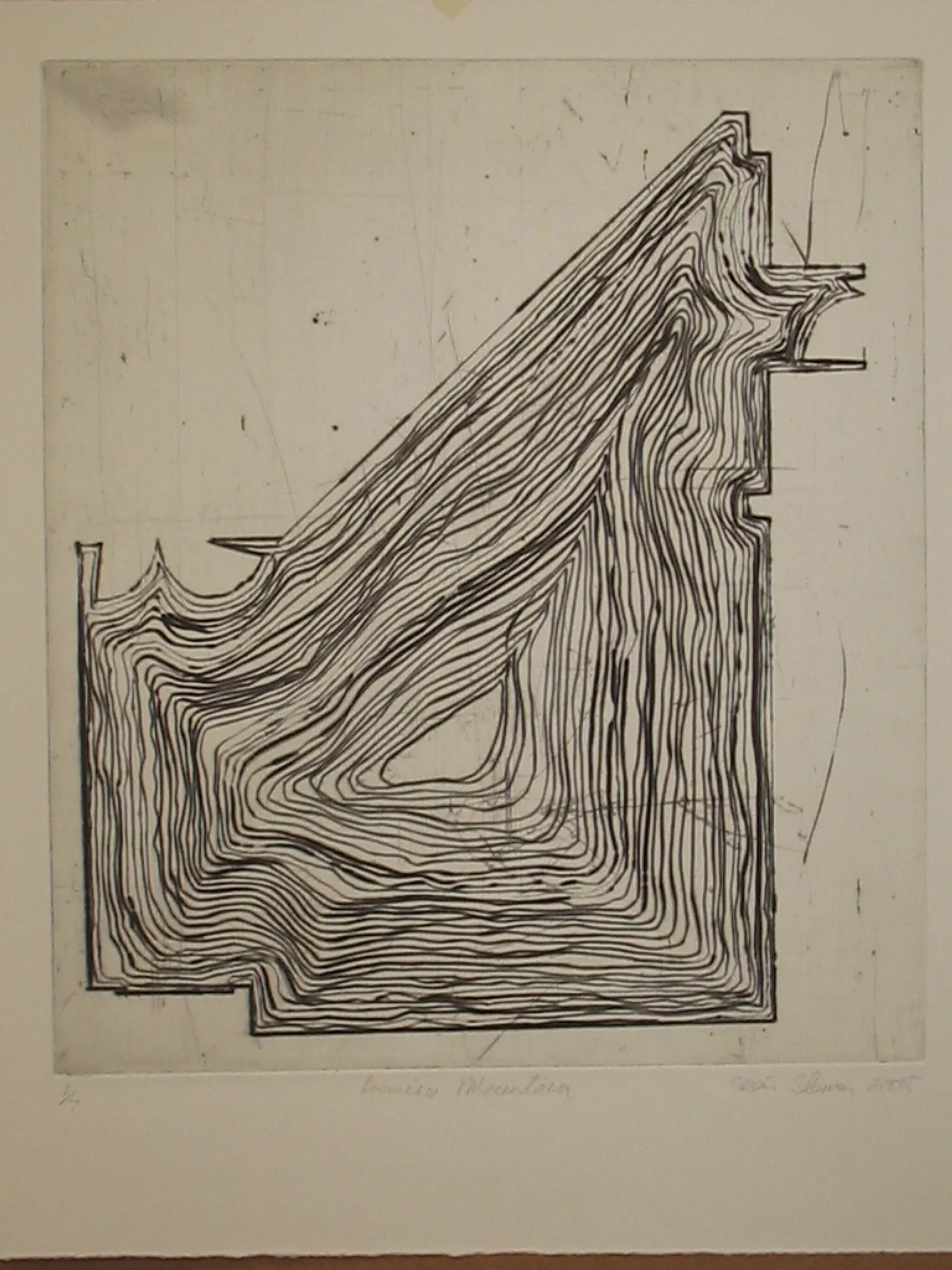 The premises mounatian-drypoint etching.jpg