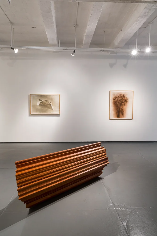 Origin Unknown (Africa): Front: Mohogany , Back: Floating Tree and Hangman's Elm. Photo Credit: Andrew Brown