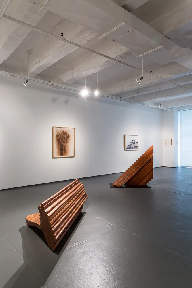 Origin Unknown (Africa): Front: Mohogany Middle: Sapele . Back Hangman's Elm, Thunderstorm. Photo Credit: Andrew Brown