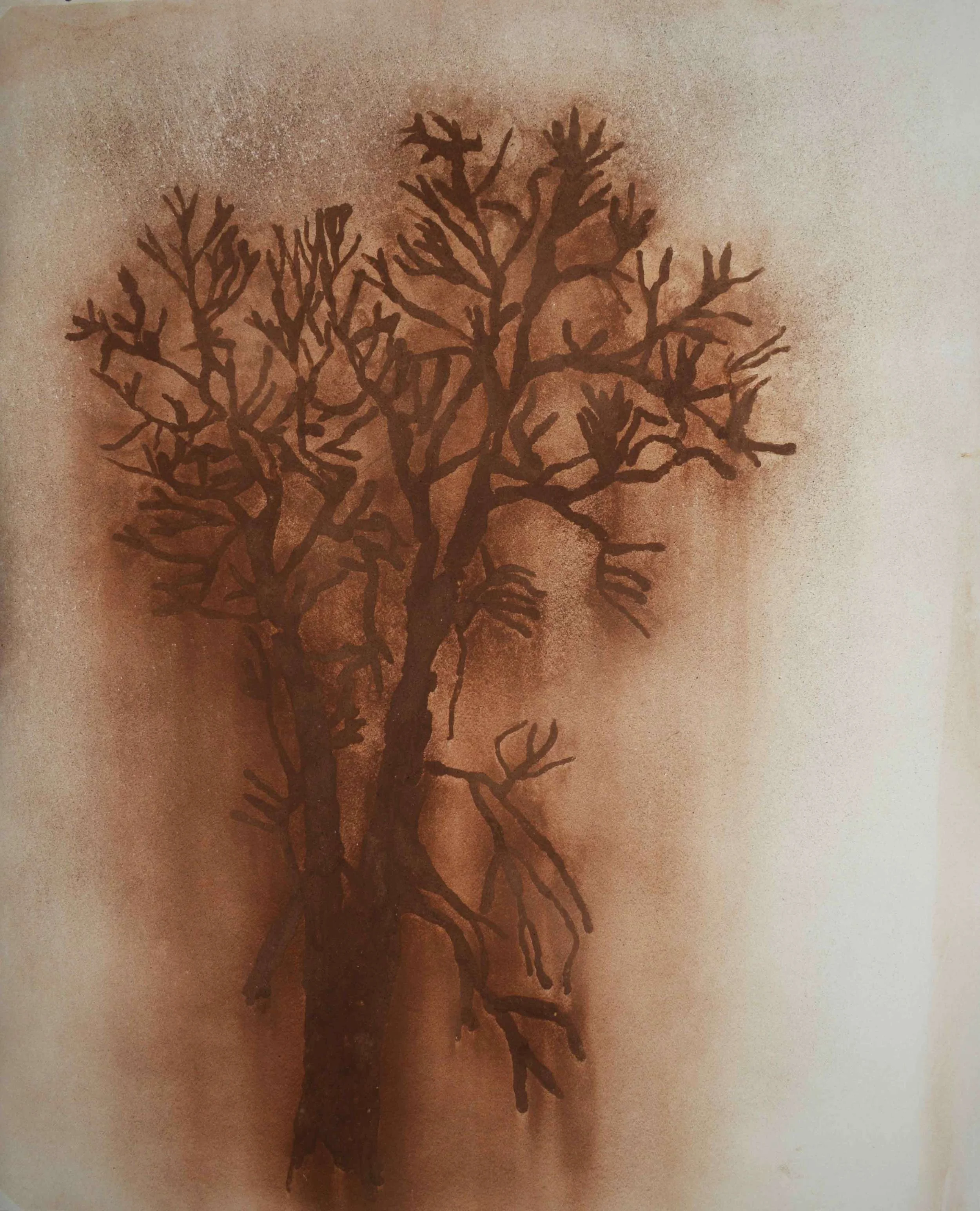Hangman's Elm, 2015 Soil on paper 42-1/8 x 33-7/8 inches | 107 x 86 cm