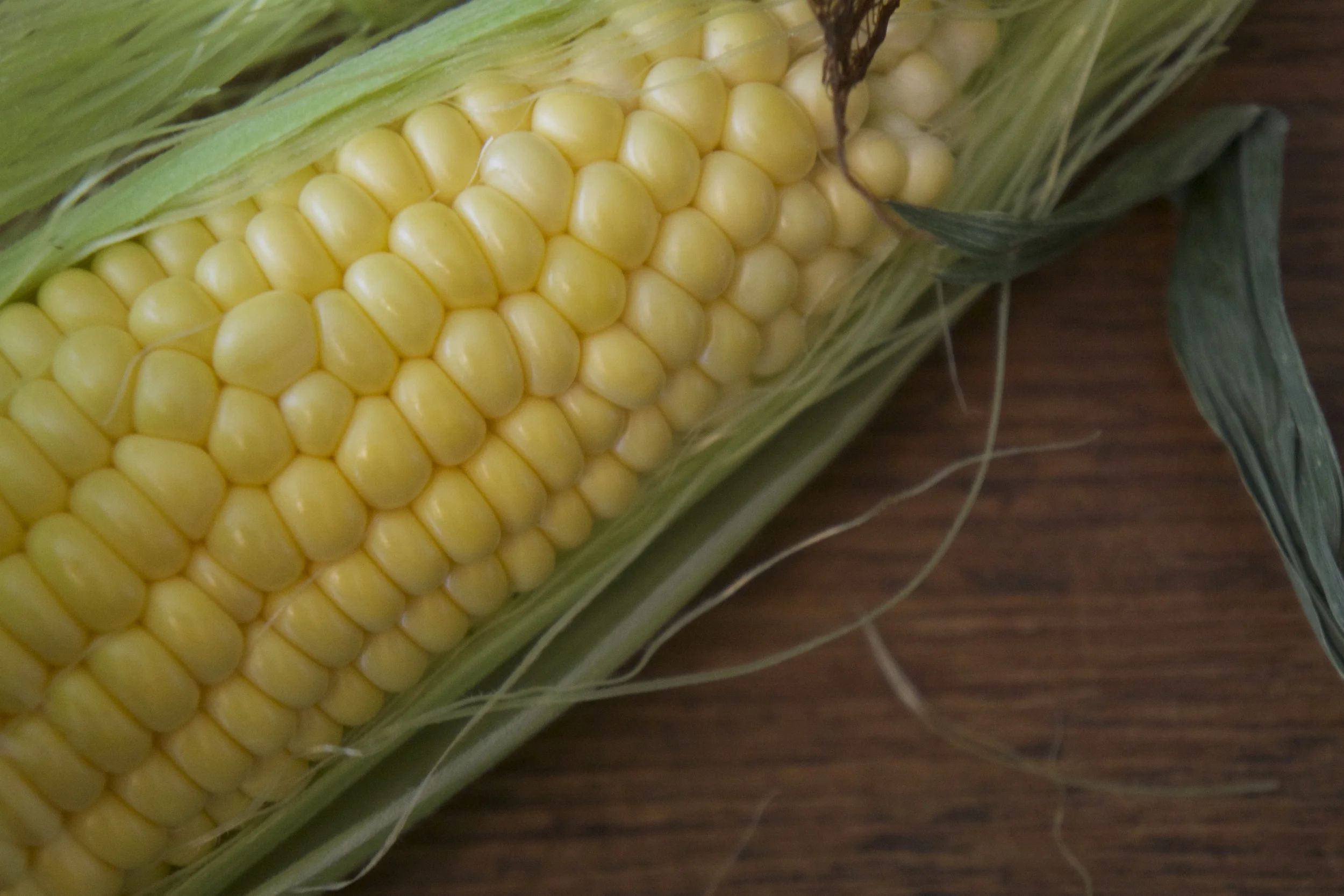 new jersey organic sweet corn