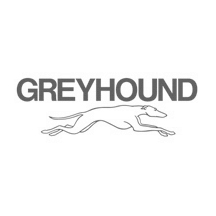 Greyhound.jpg