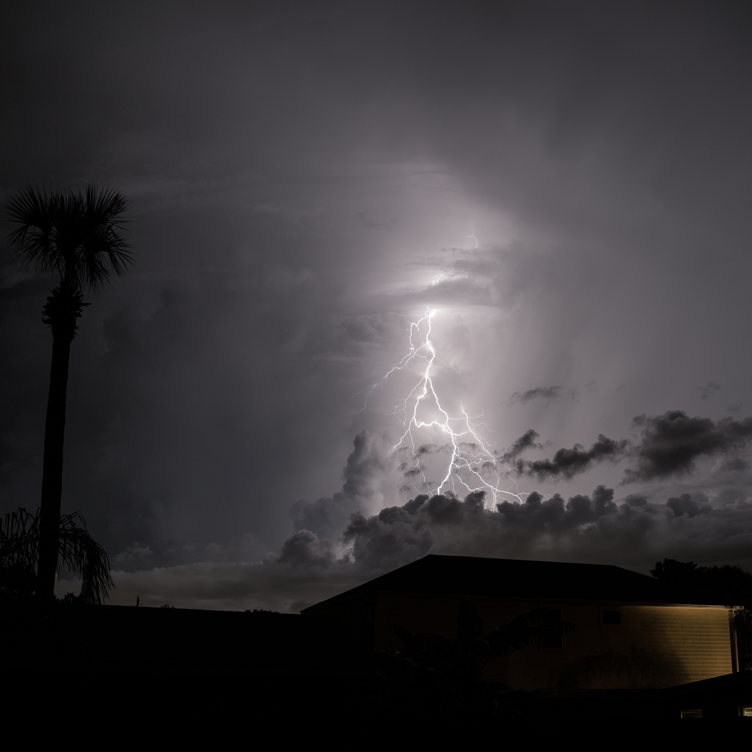 178A2261.jpg