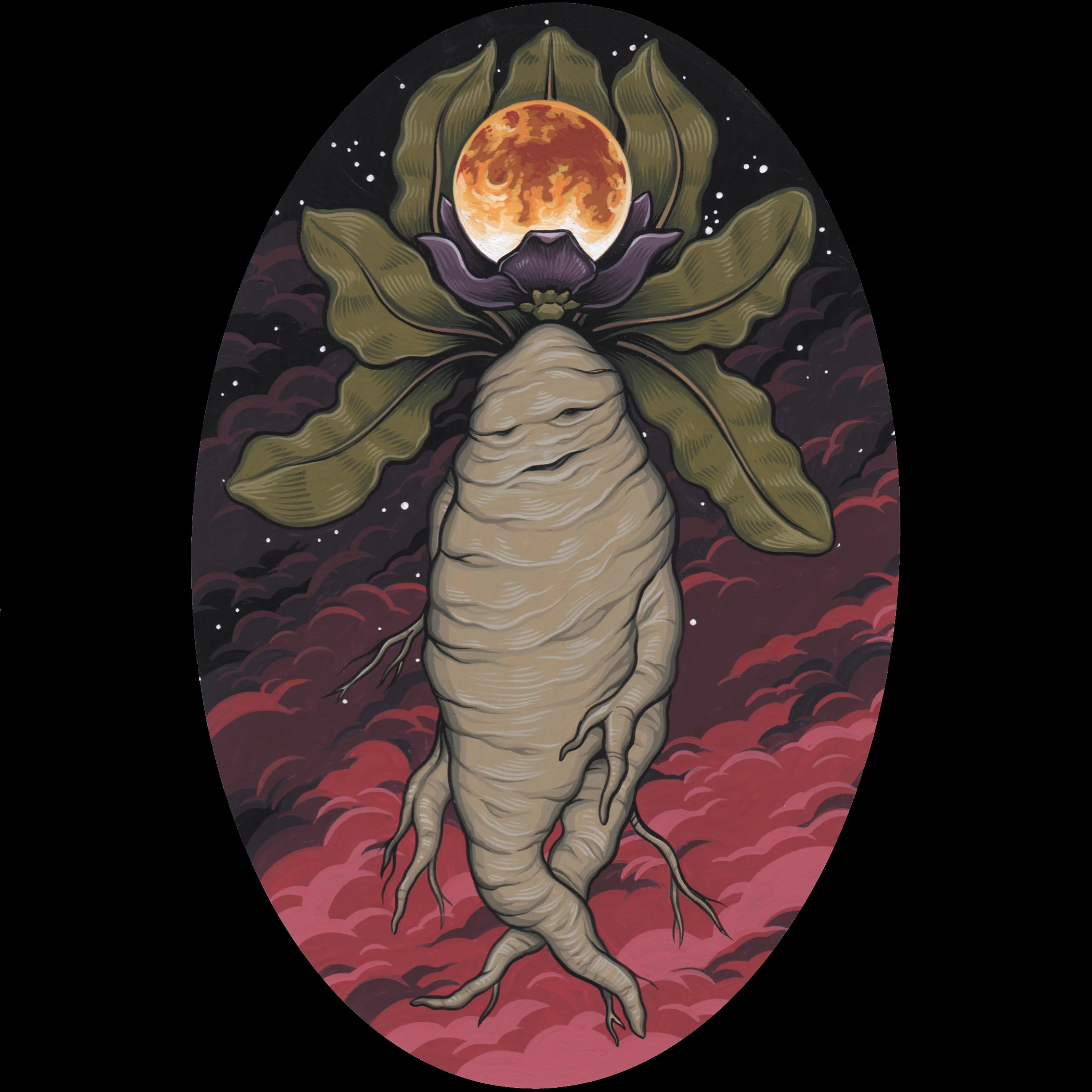 Mandrake