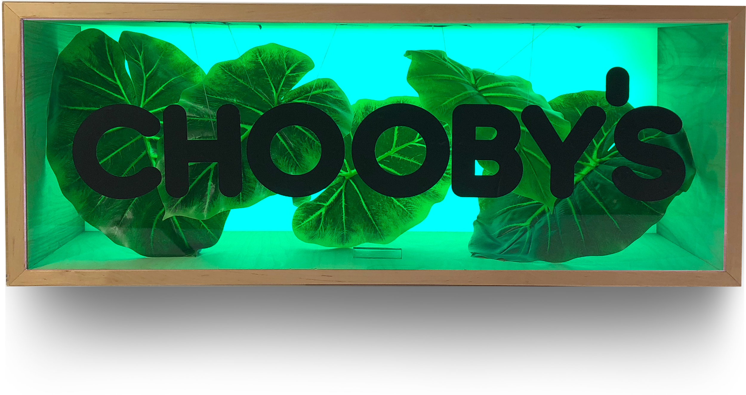 ChoobyGifInsta.psd_0007_Layer-2.png