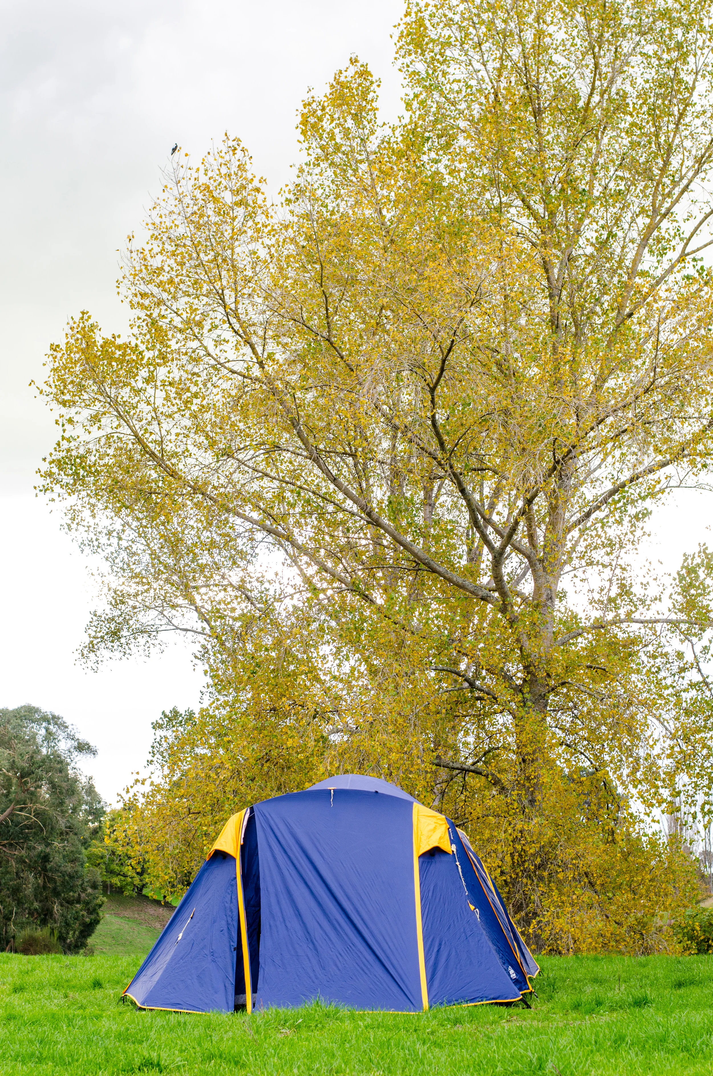 Don't let the perspective fool you -- that tent was freakin' ginormous.