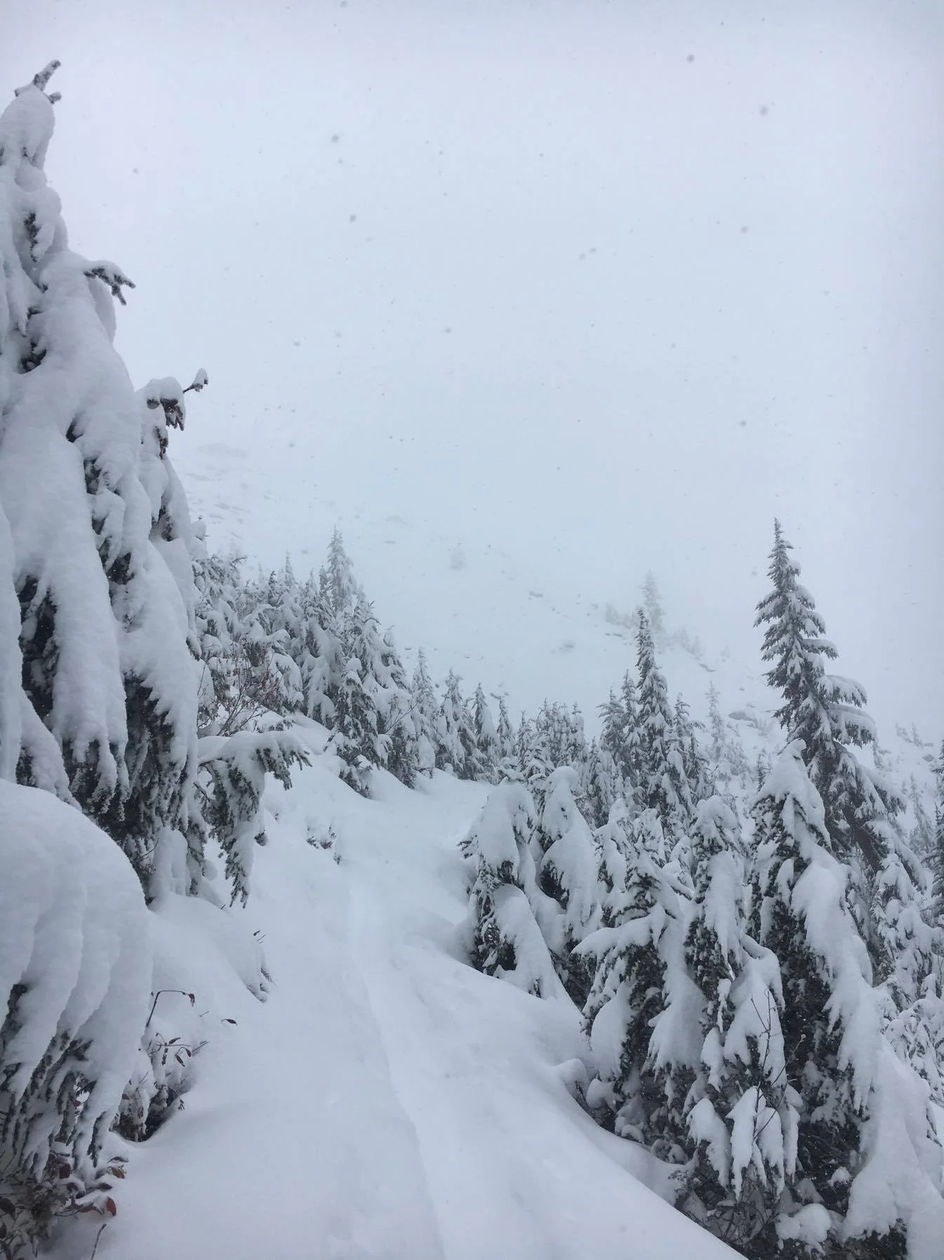 The view from our turnaround point about 1 mile from the lookout. Photo by Amy.