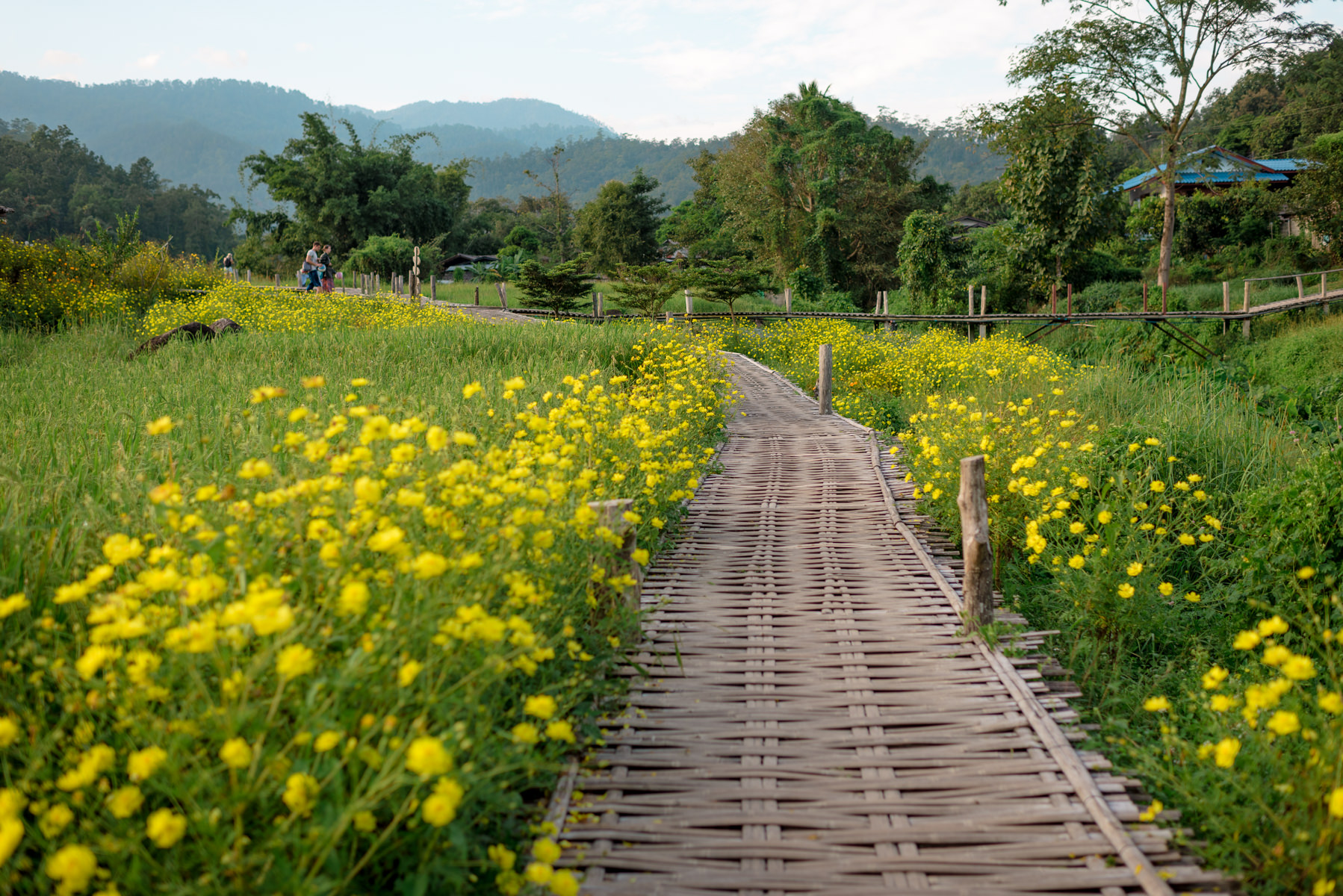 Andrew Tat - Editorial Travel Photography - SE Asia - Thailand - Chiang Mai Pai - 16.jpg
