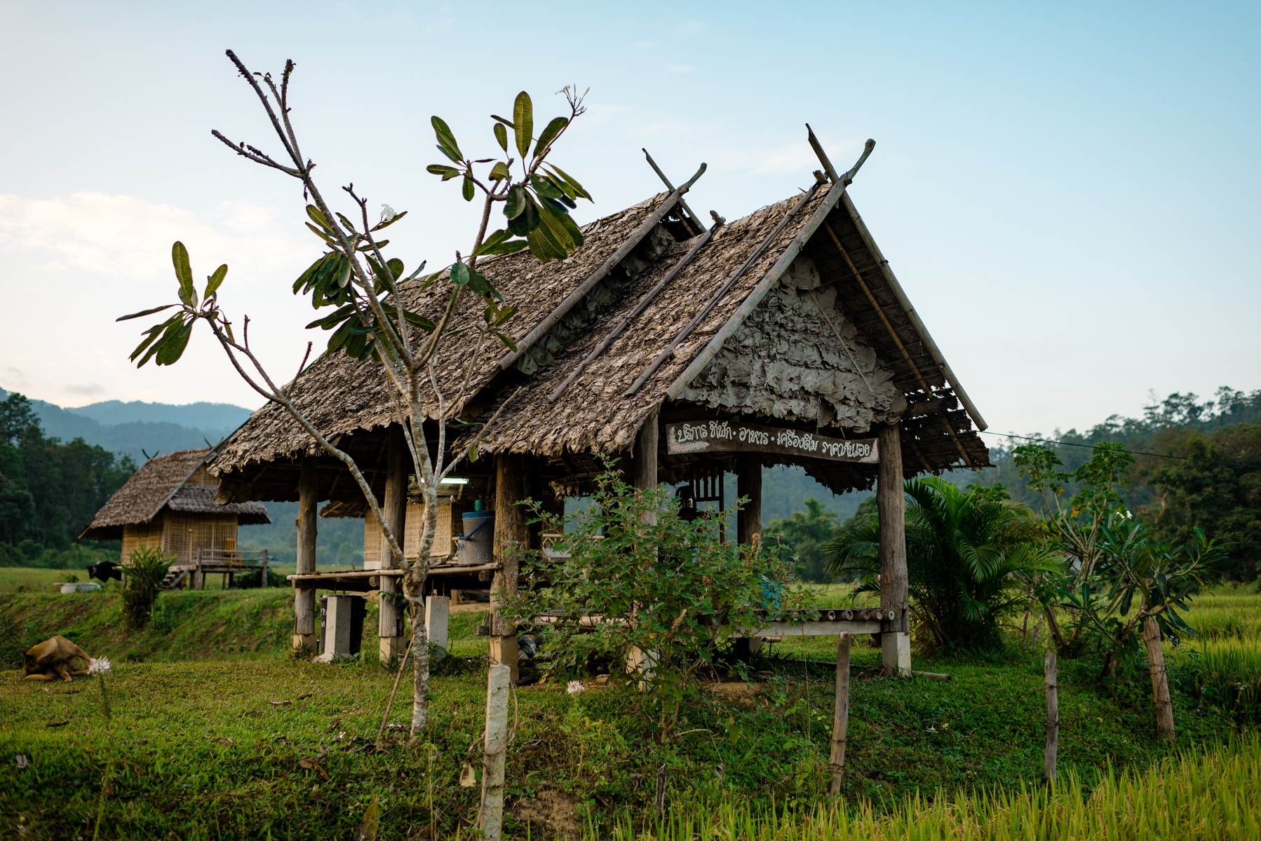 Andrew Tat - Editorial Travel Photography - SE Asia - Thailand - Chiang Mai Pai - 27.jpg