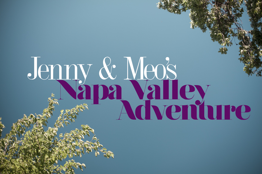Jenny & Meo's Napa Adventure/ Napa Valley Photographer