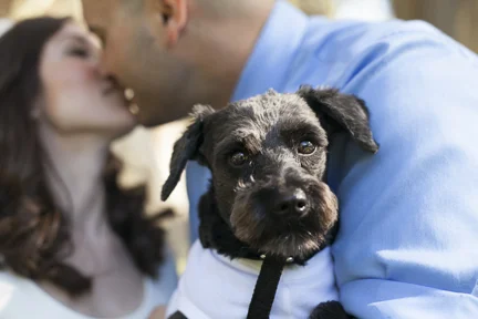 Mackenzie + Terrence//Tilden Park//Berkeley Wedding and Elopement Photographer