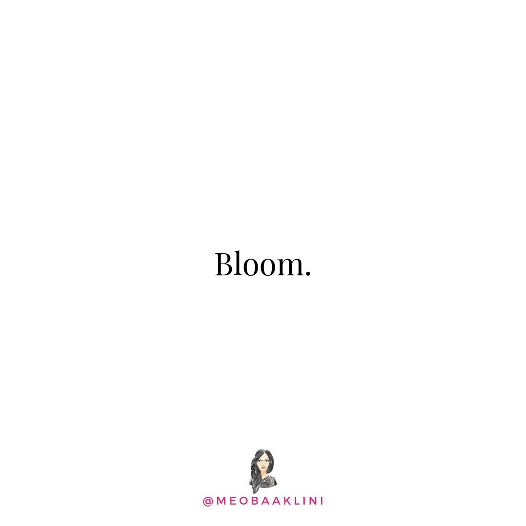 Bloom quote.jpg