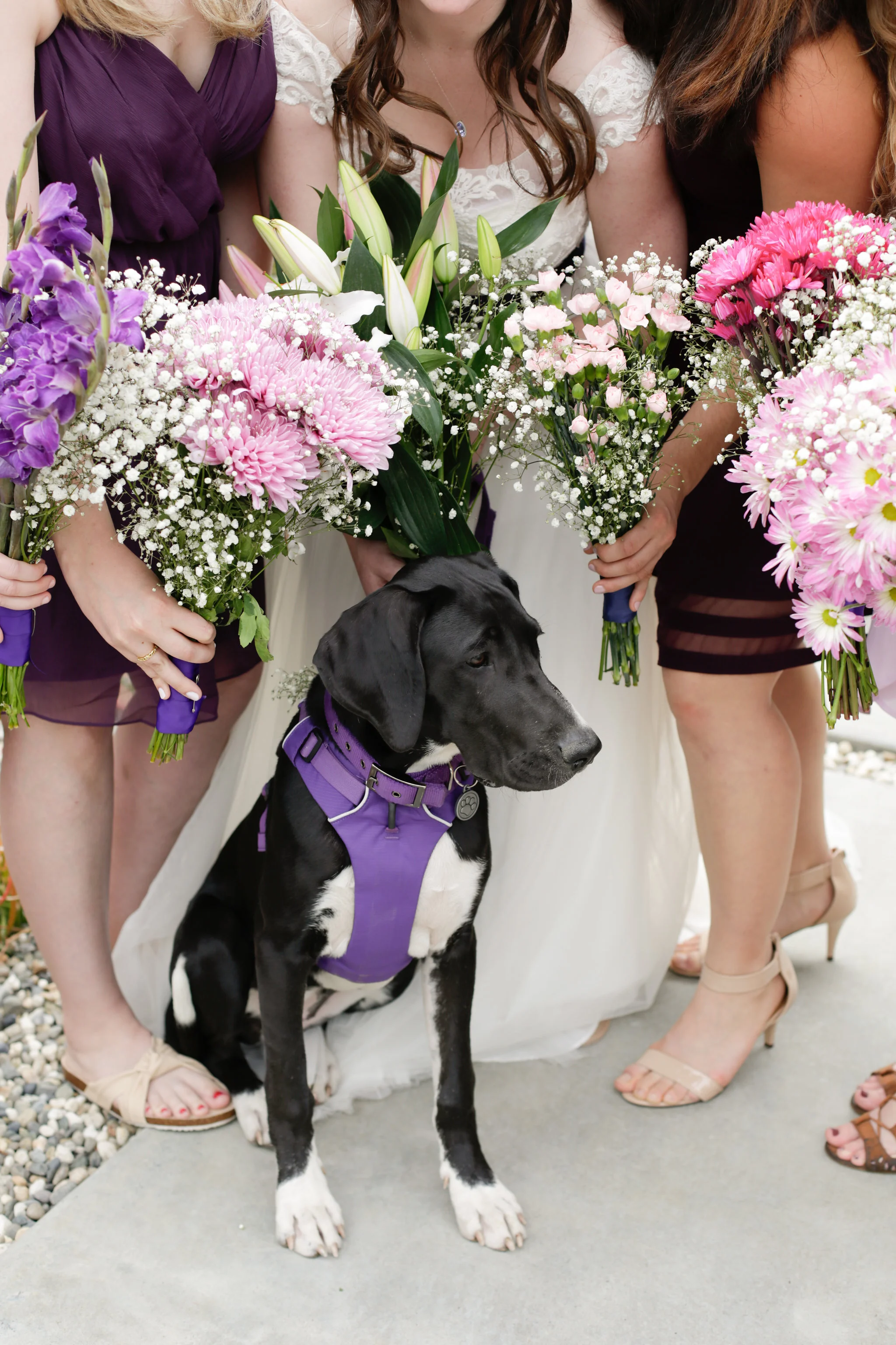 south bay area wedding photography10.jpg
