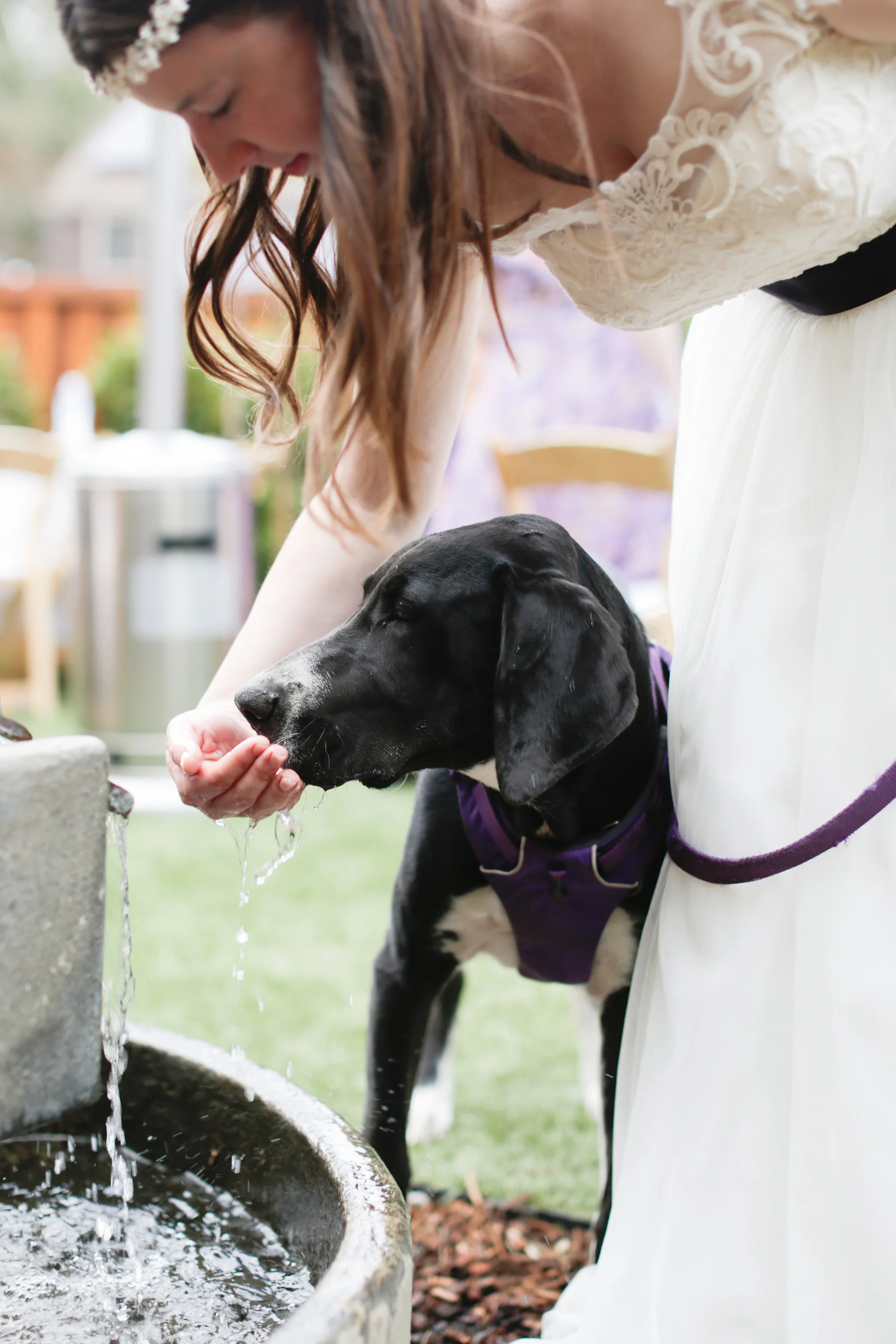 south bay area wedding photography16.jpg