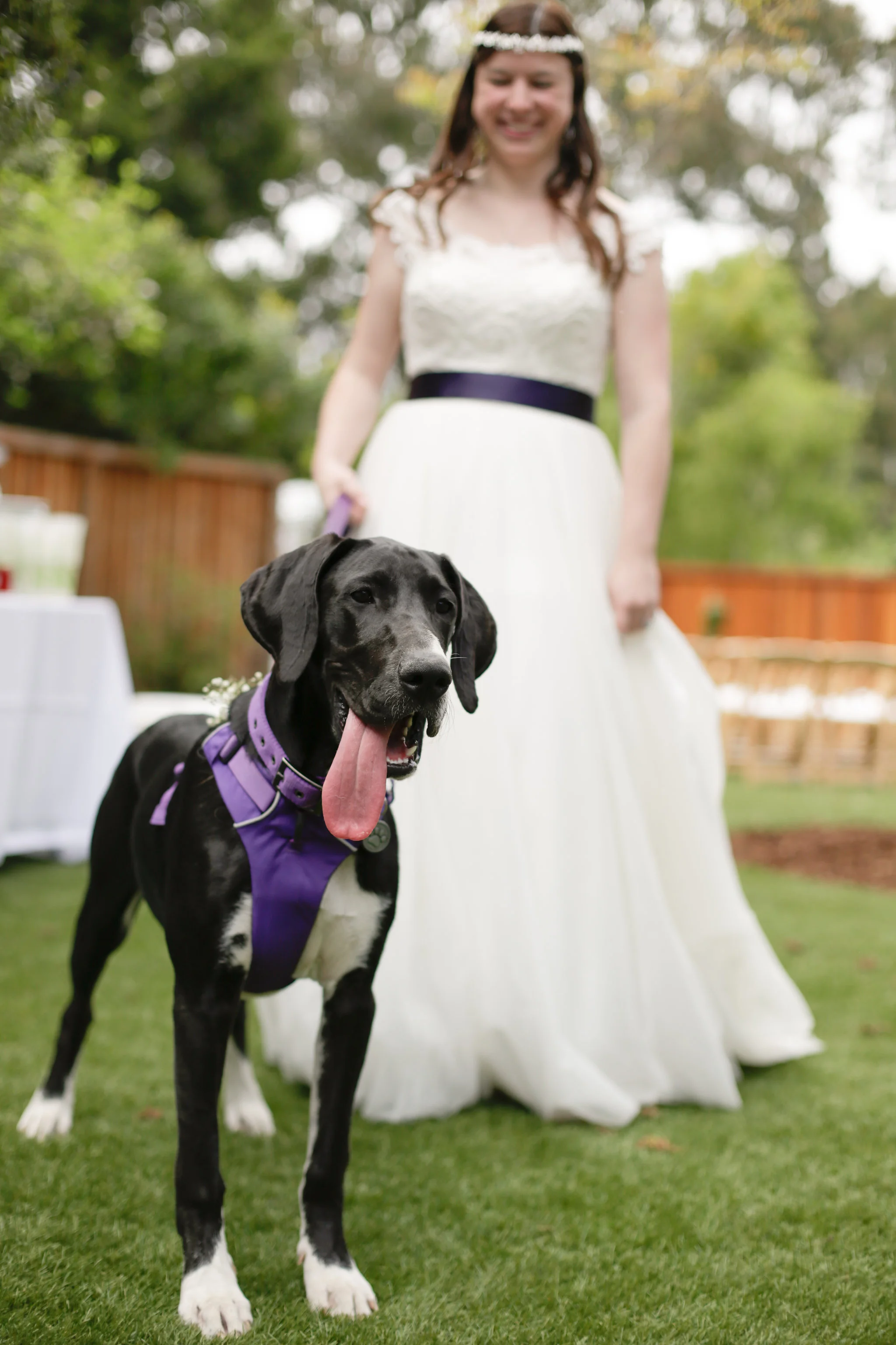 south bay area wedding photography21.jpg