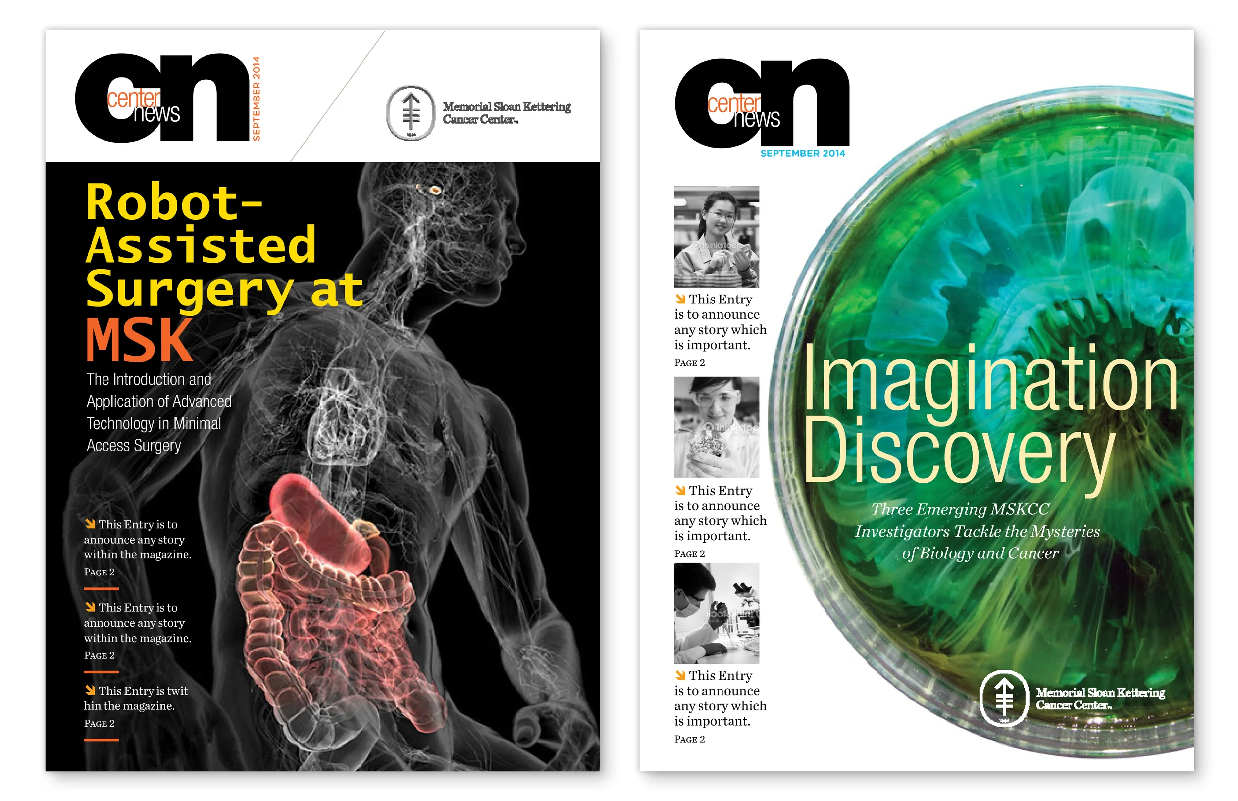 Memorial Sloan Kettering Cancer Center: In-house Newsletter re-design Proposal